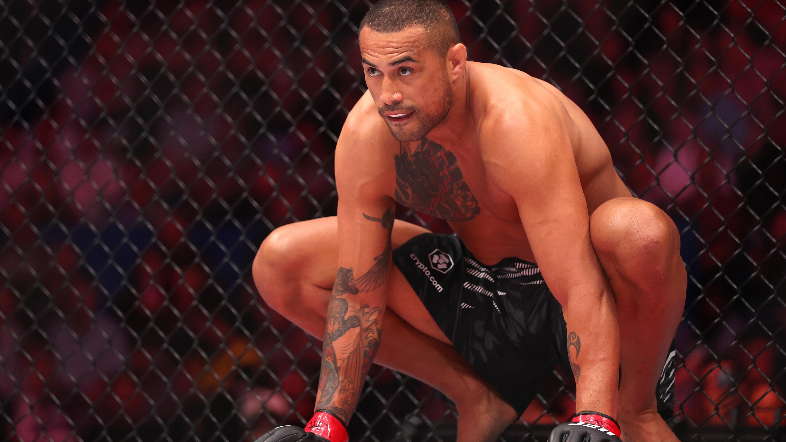 UFC Fight Night: Ulberg vs Reyes