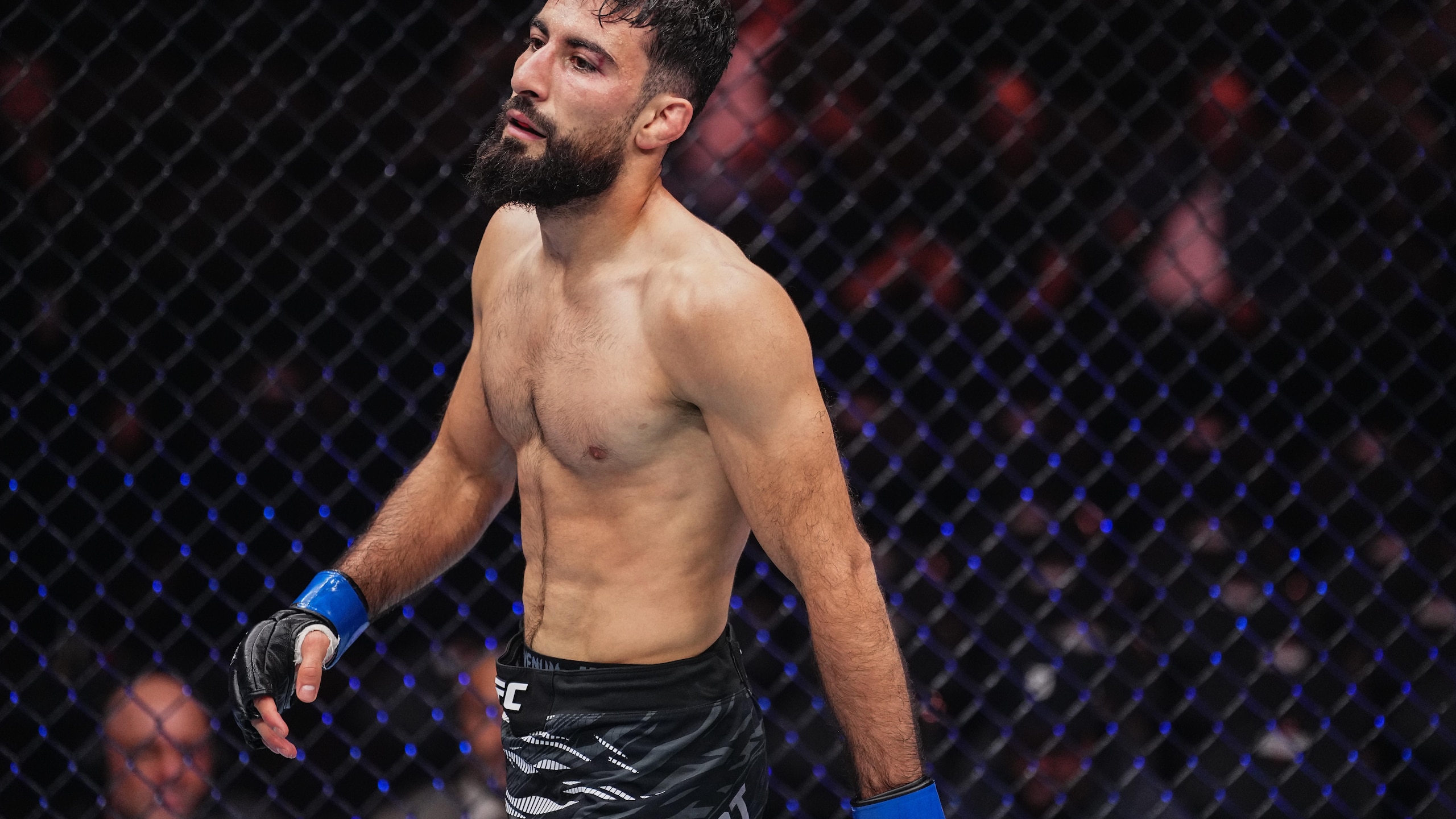 UFC 320: Gutierrez v Basharat