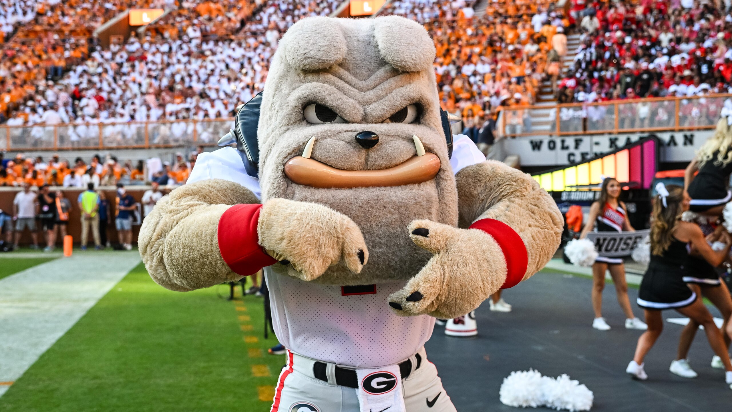 UGA Fan Won't Sing Rocky Top 😭