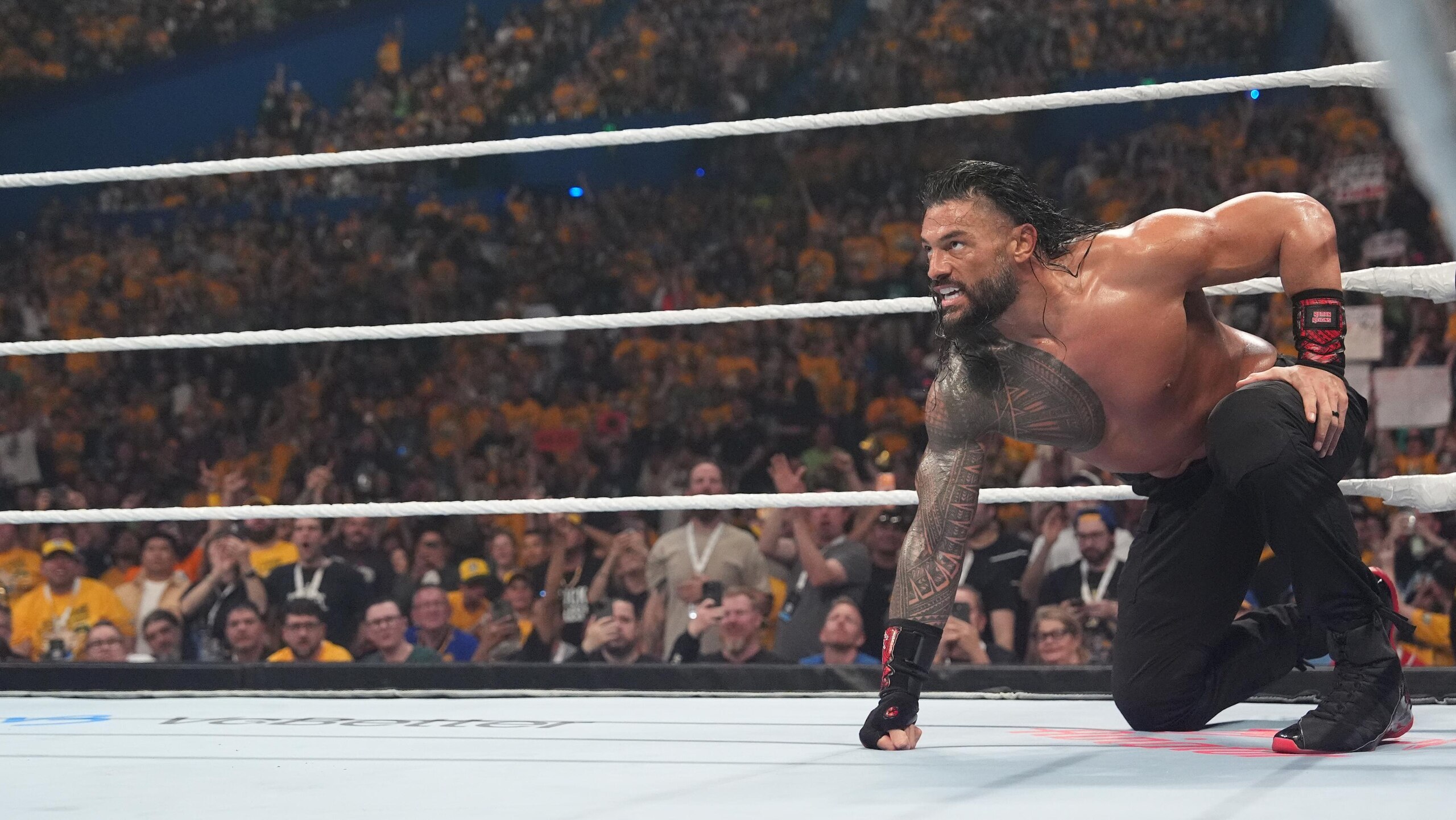 WWE Crown Jewel