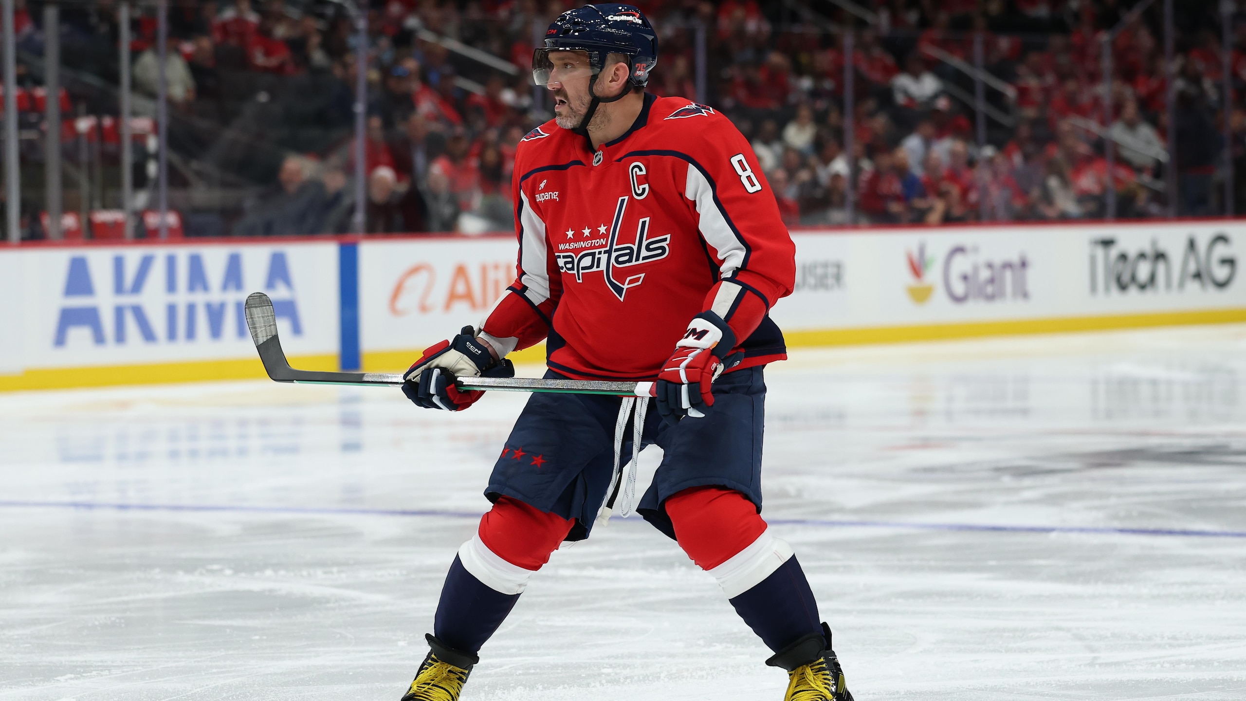 Boston Bruins v Washington Capitals