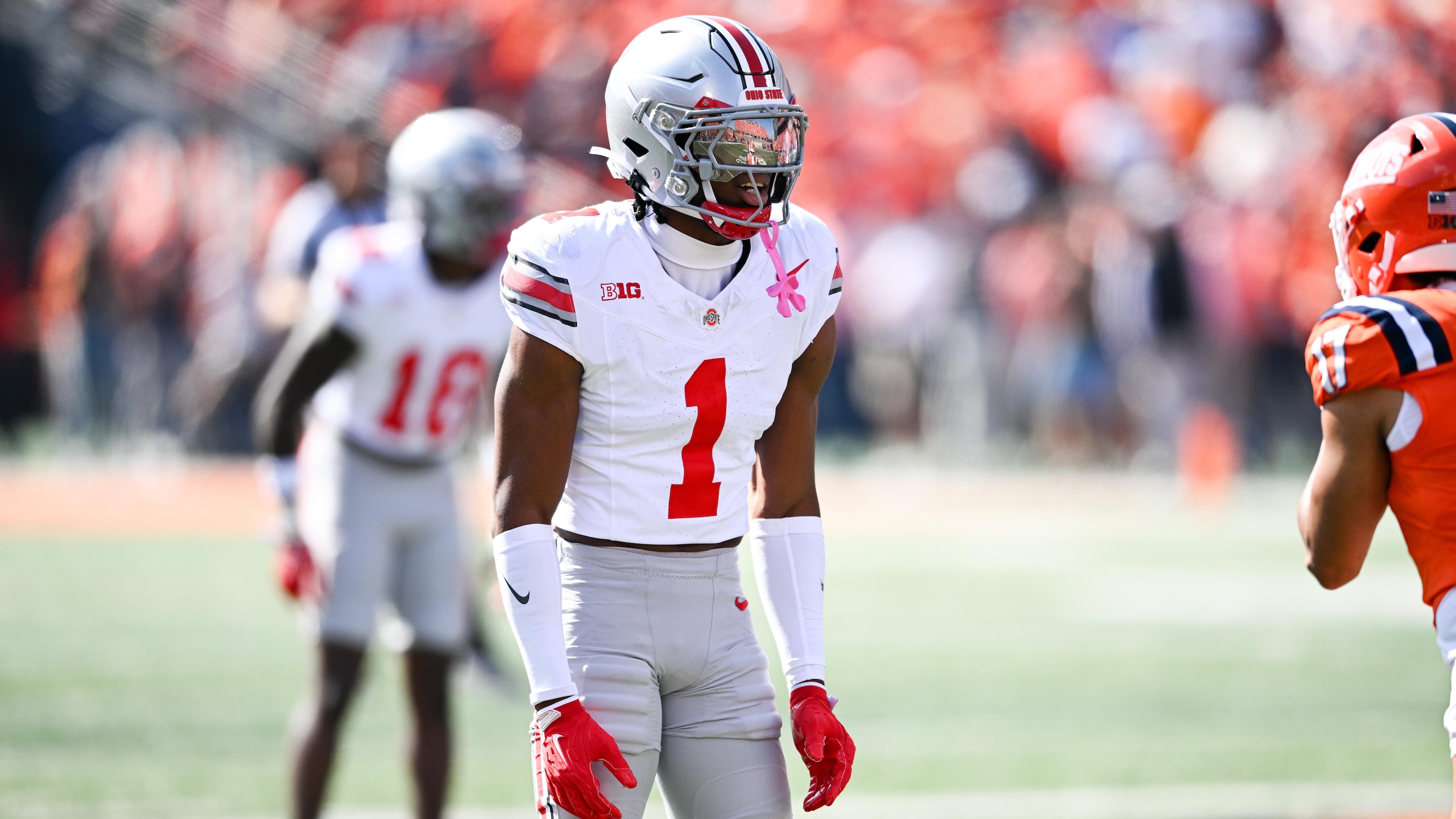 COLLEGE FOOTBALL: OCT 11 Ohio State at Illinois