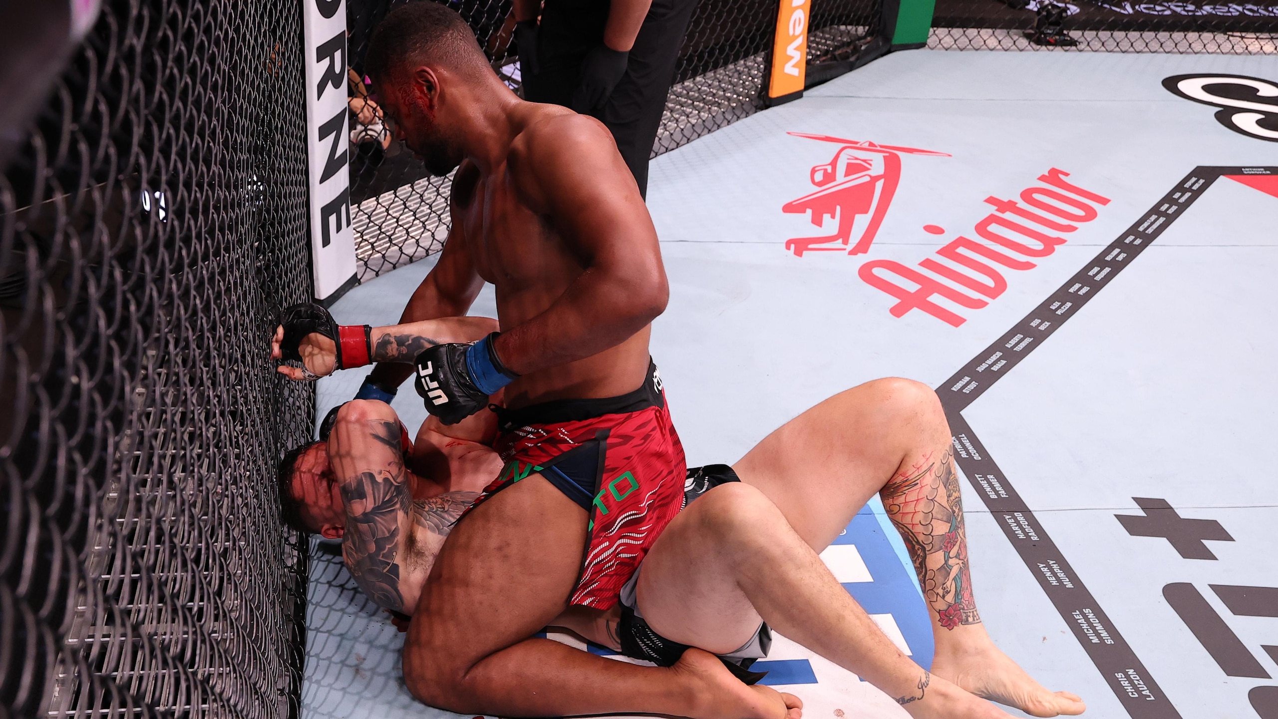 UFC Fight Night: Diniz v Pinto