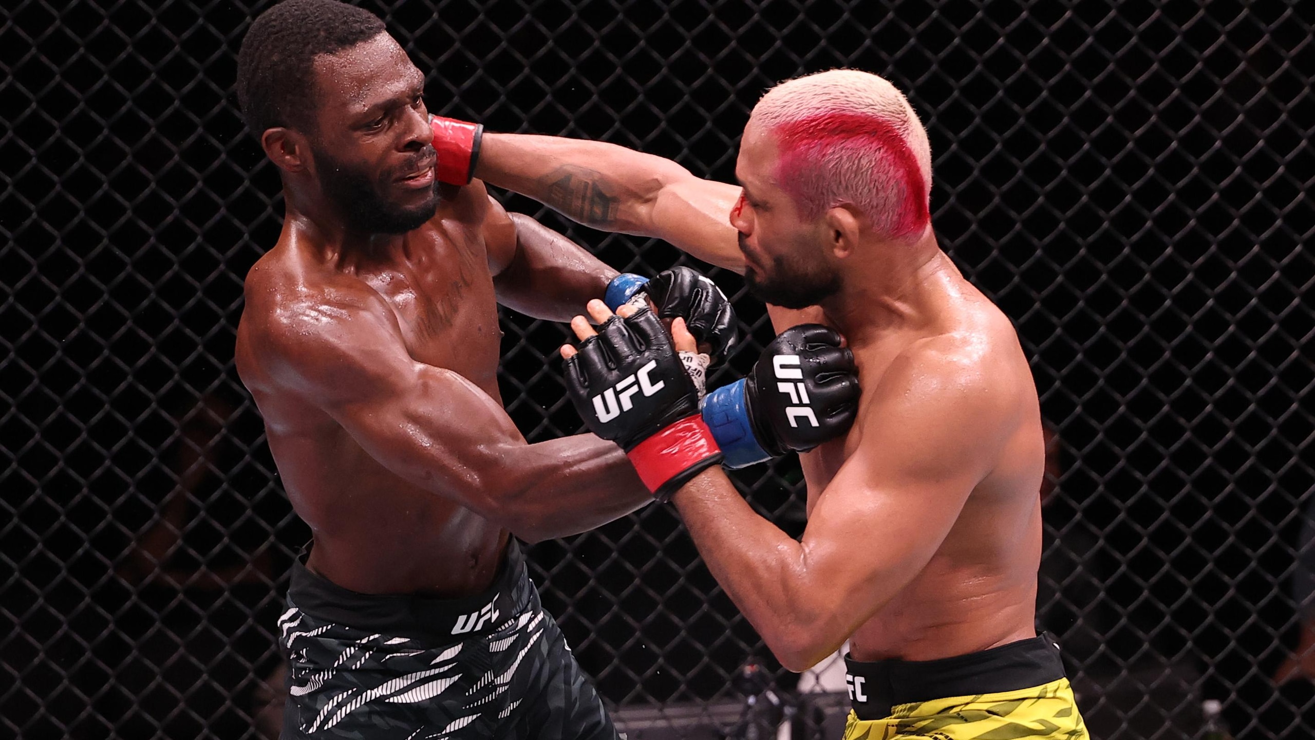 UFC Fight Night: Figueiredo v Jackson