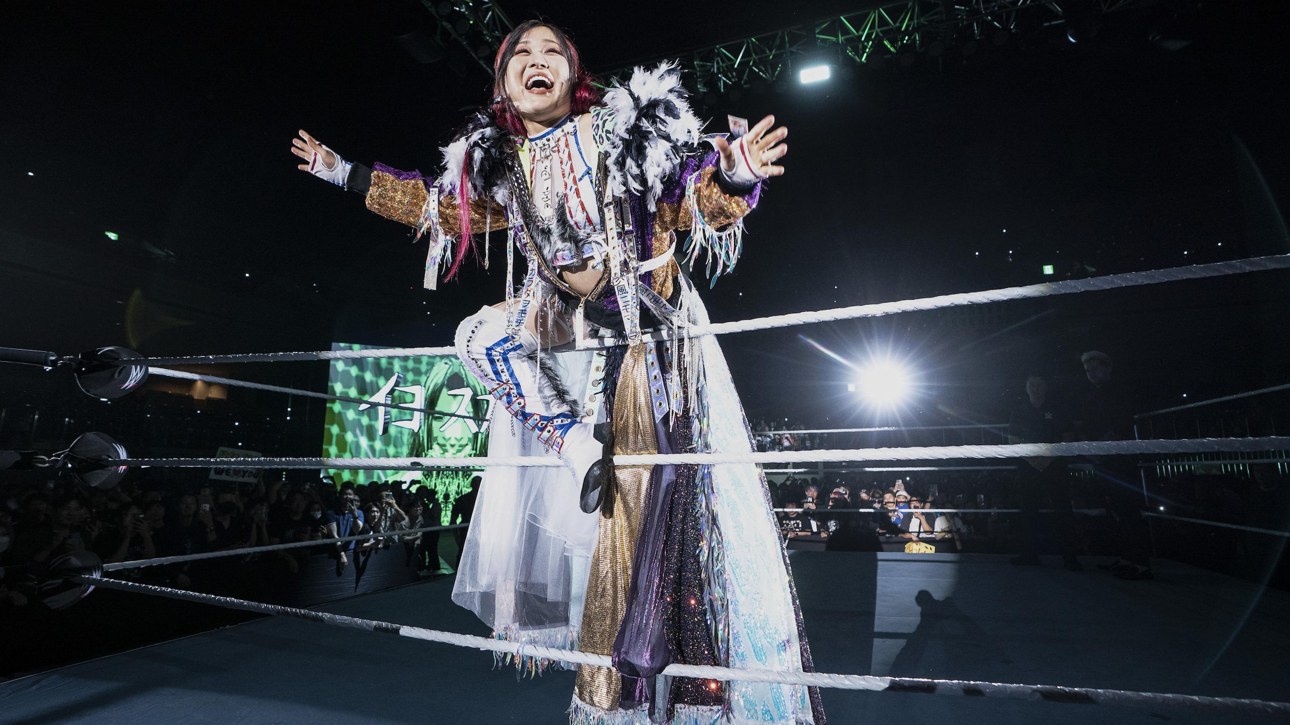 WWE Archive