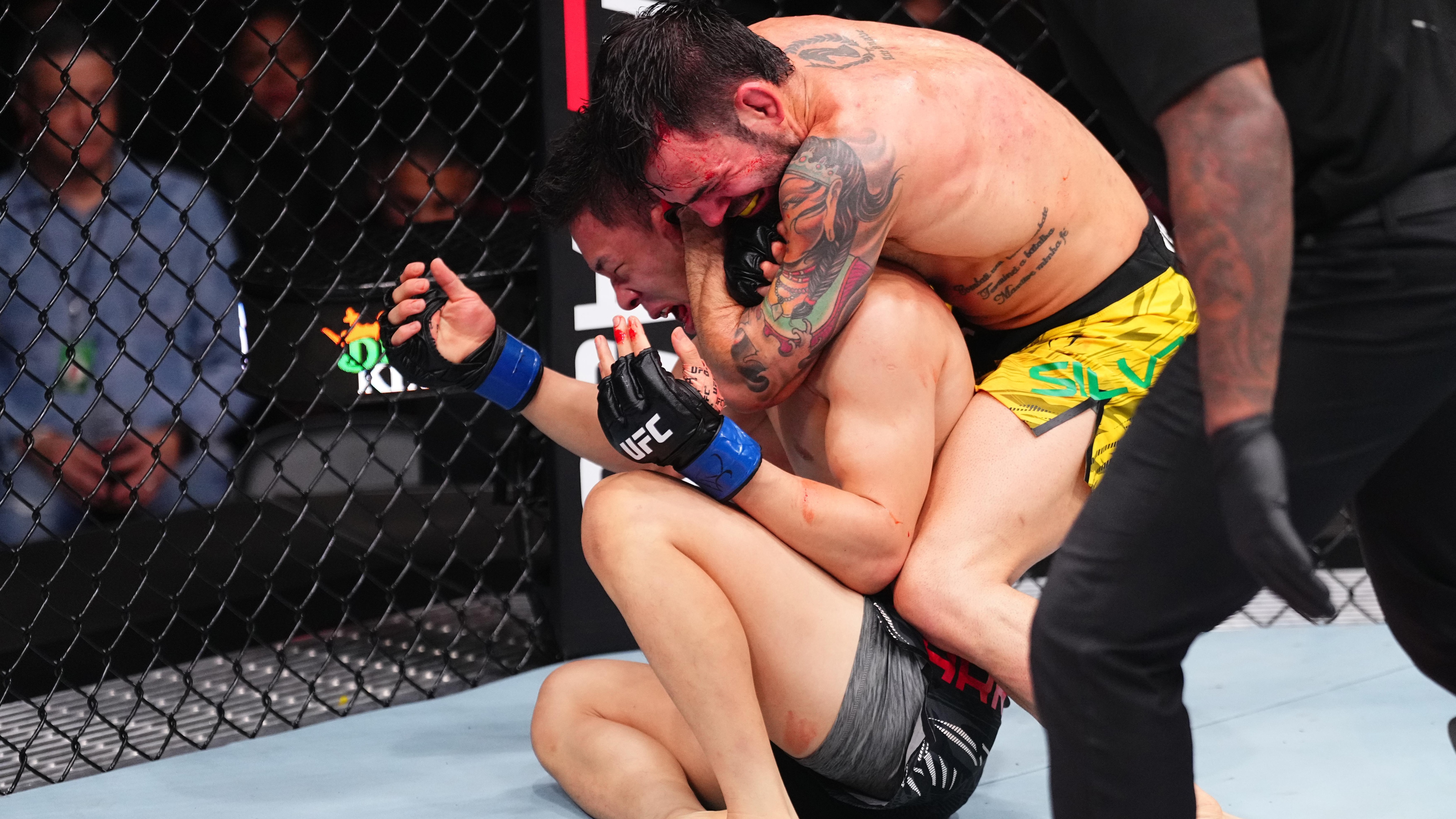 UFC Fight Night: Silva v Park