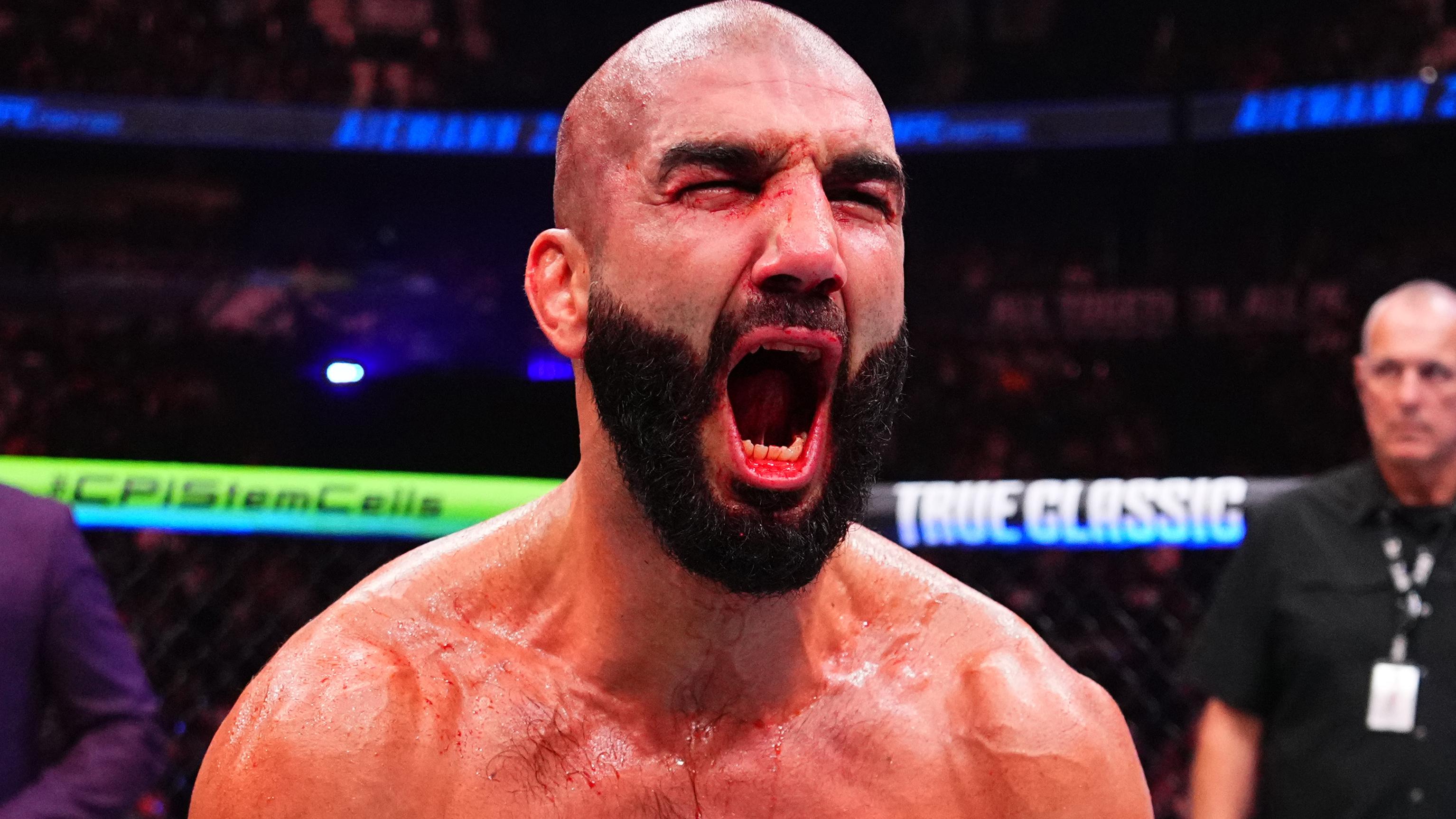 UFC Fight Night: Vera v Zahabi