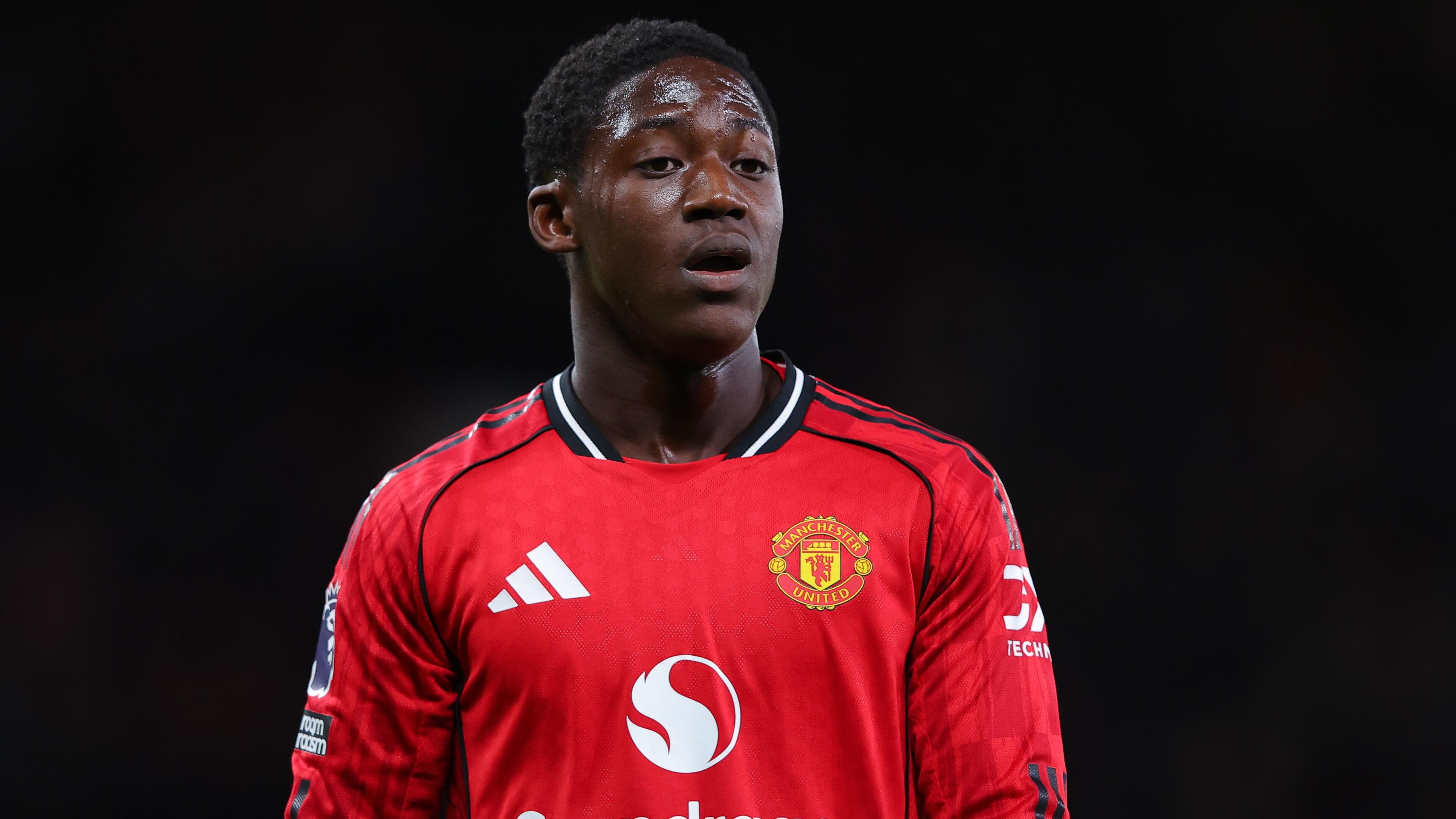 Manchester United v Brighton & Hove Albion - Premier League