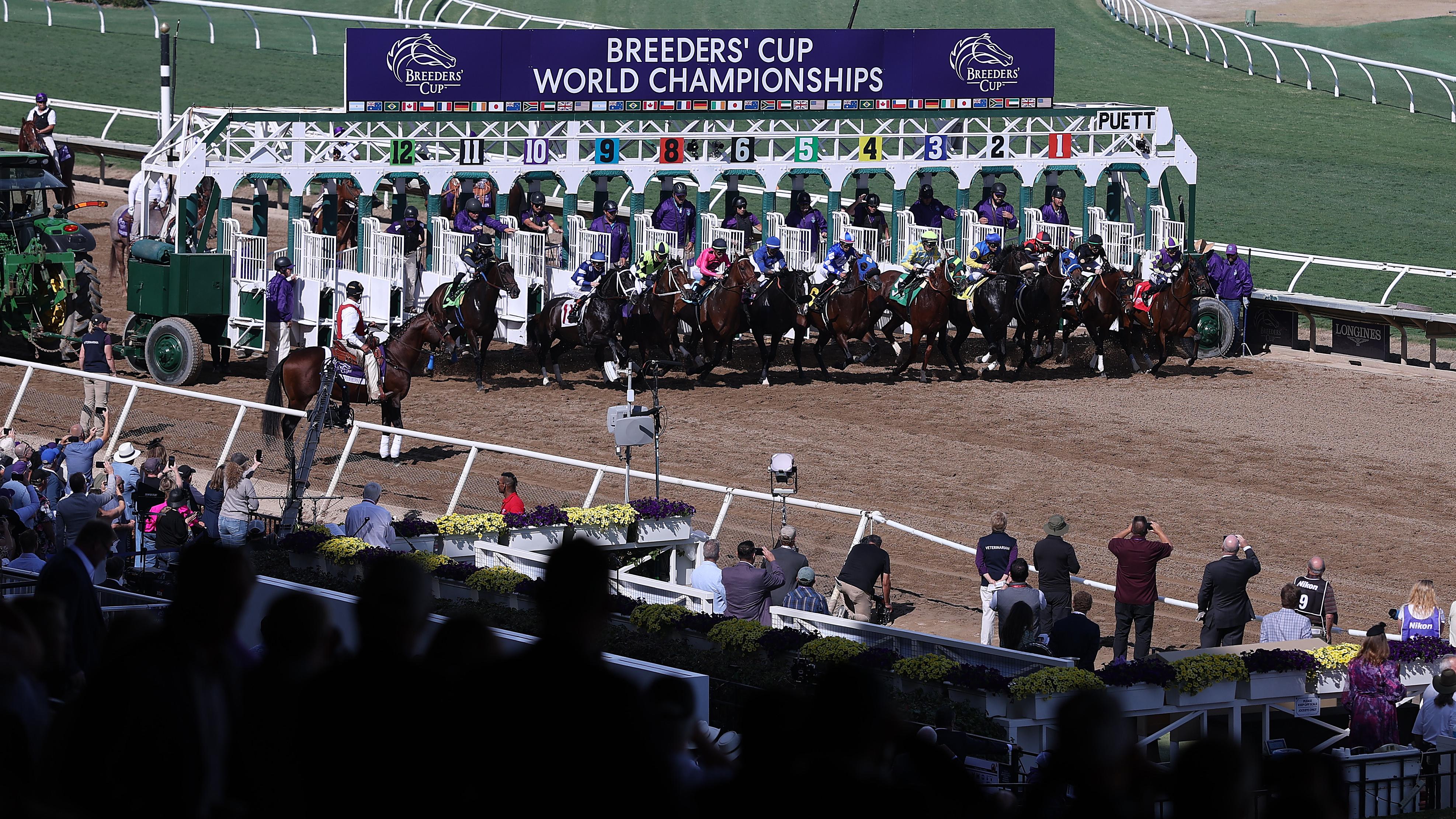42nd Breeders' Cup