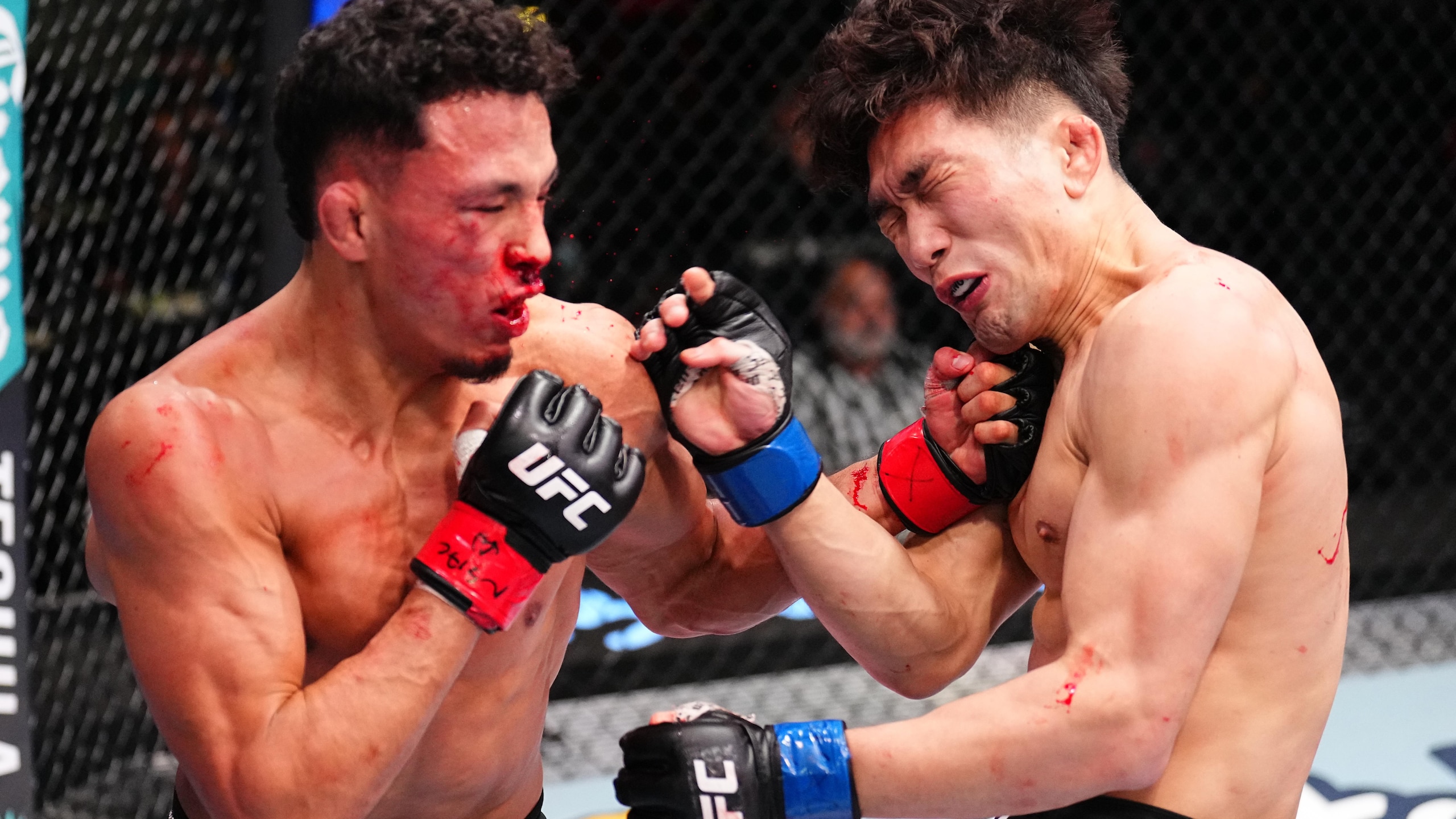 UFC Fight Night: Cuamba v Lee