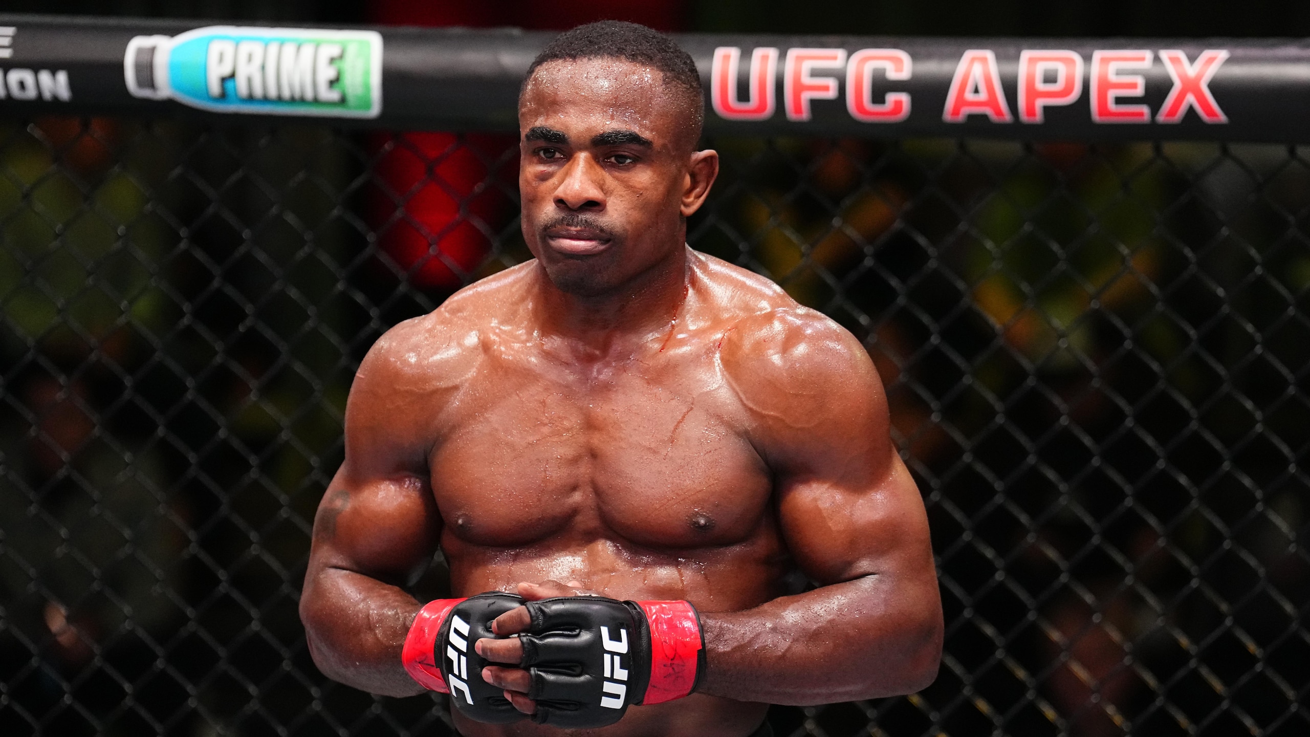 UFC Fight Night: Wells v Gorimbo