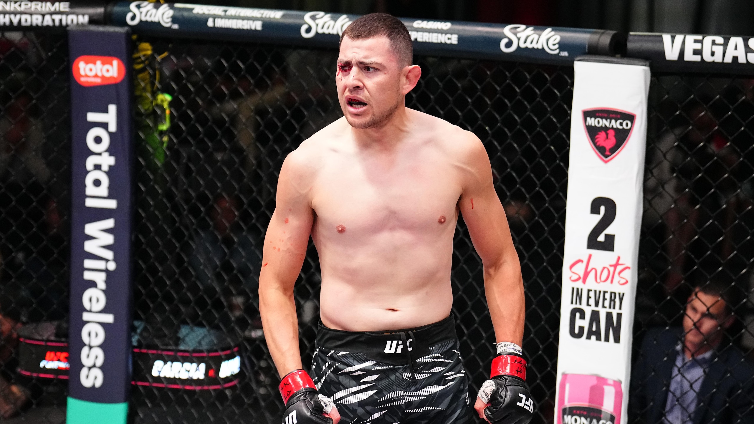 UFC Fight Night: Garcia v Onama