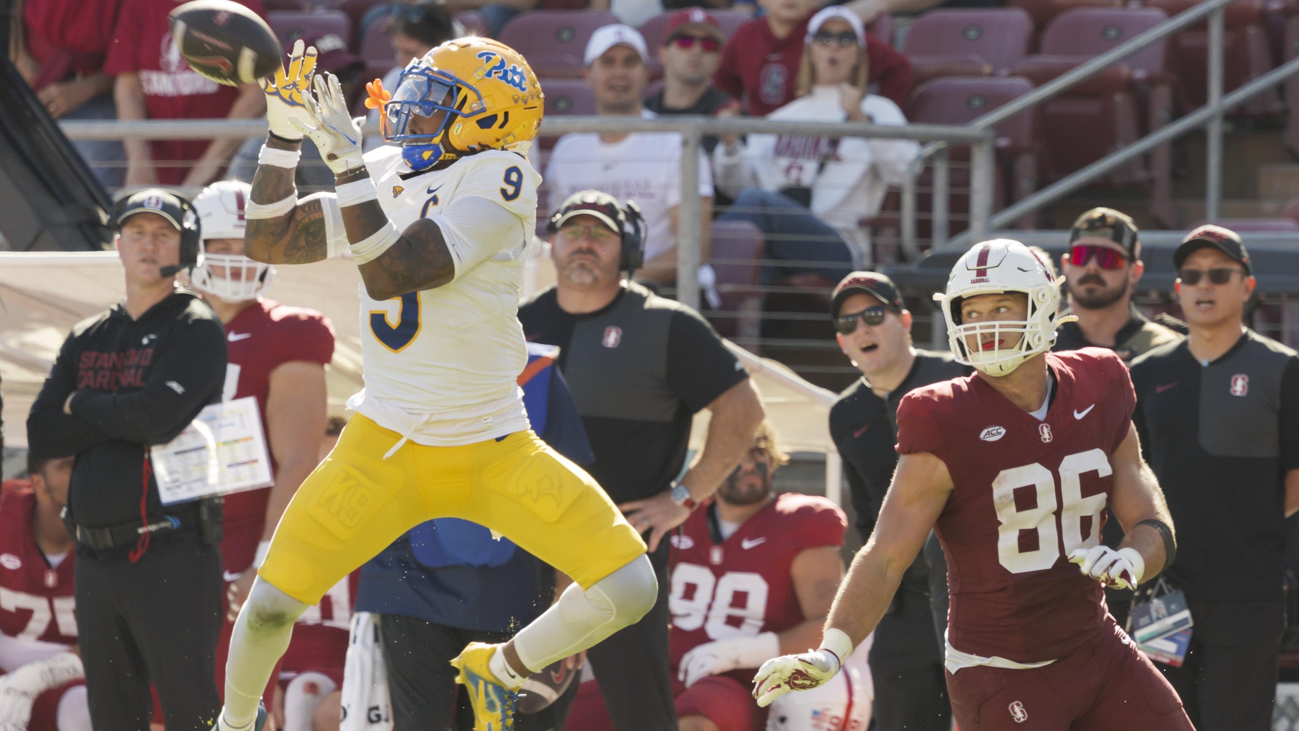 Stanford v Pitt