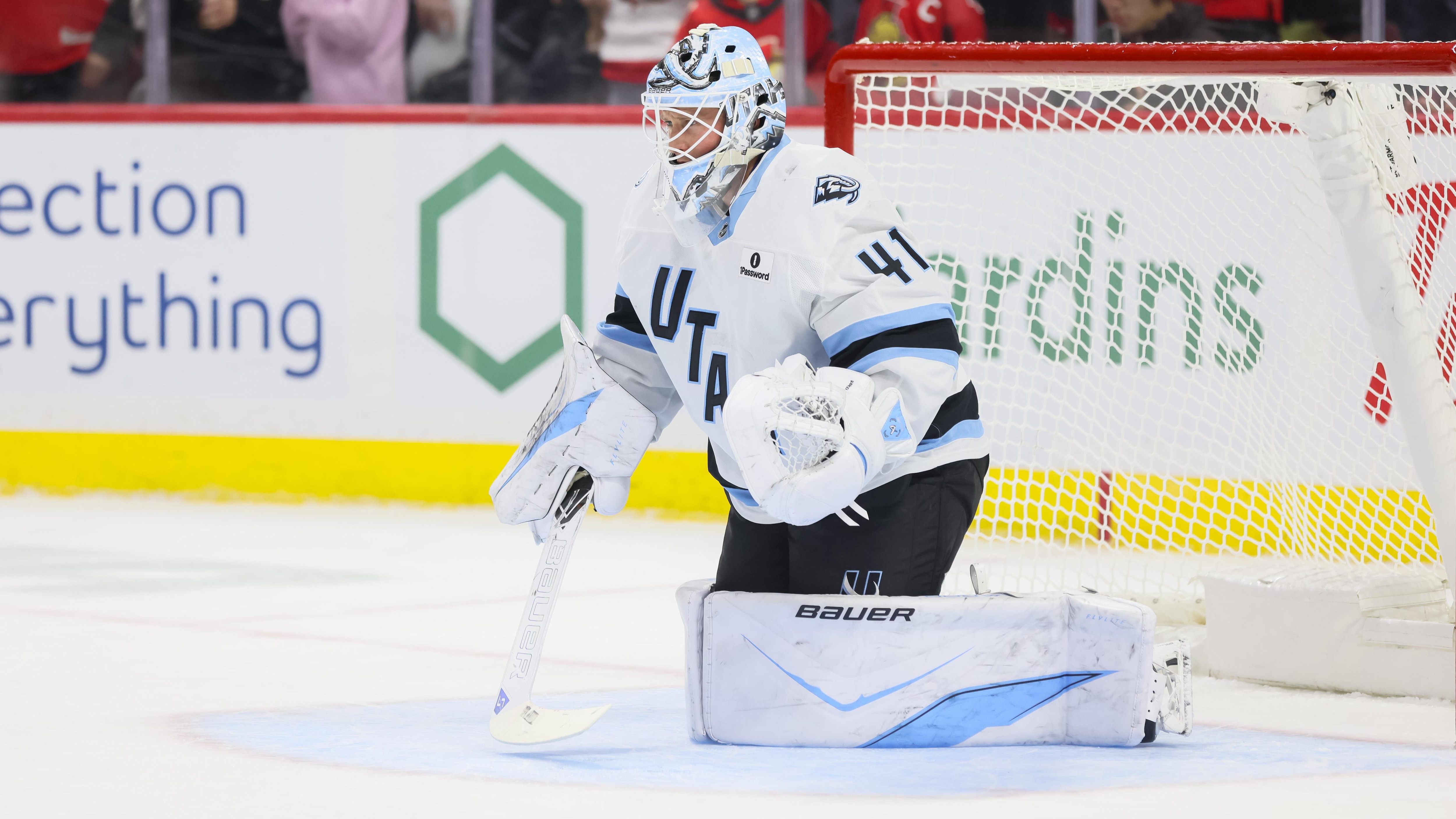 NHL: NOV 09 Mammoth at Senators