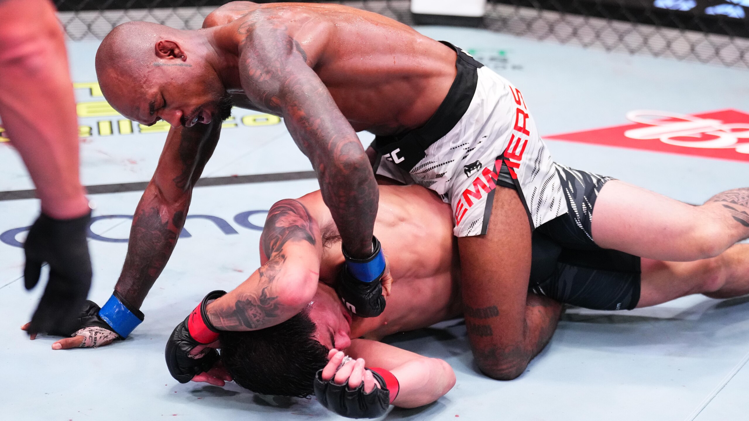 UFC Fight Night: Amil vs Emmers