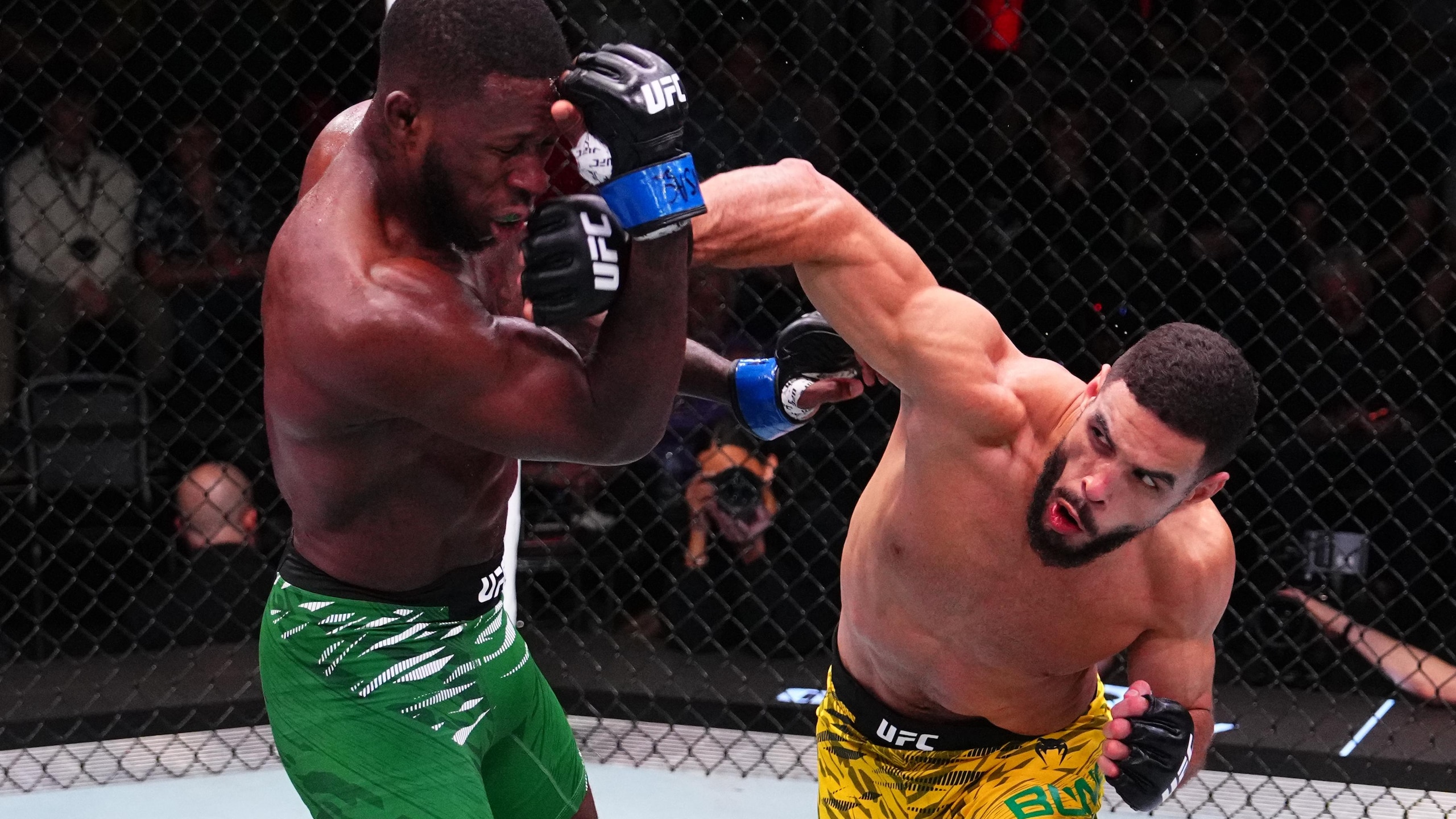 UFC Fight Night: Bonfim vs Brown