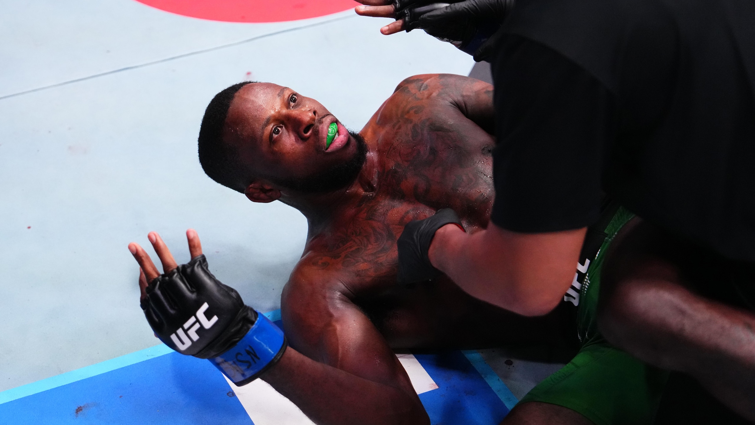 UFC Fight Night: Bonfim vs Brown