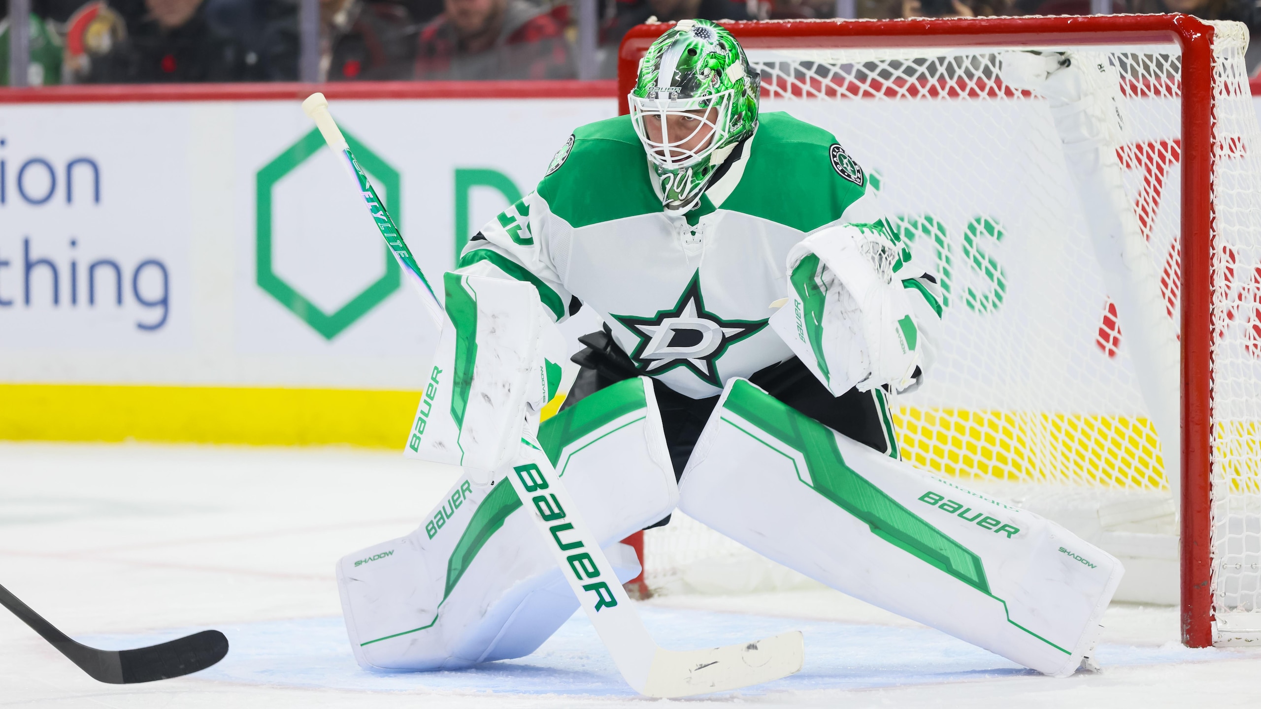 NHL: NOV 11 Stars at Senators