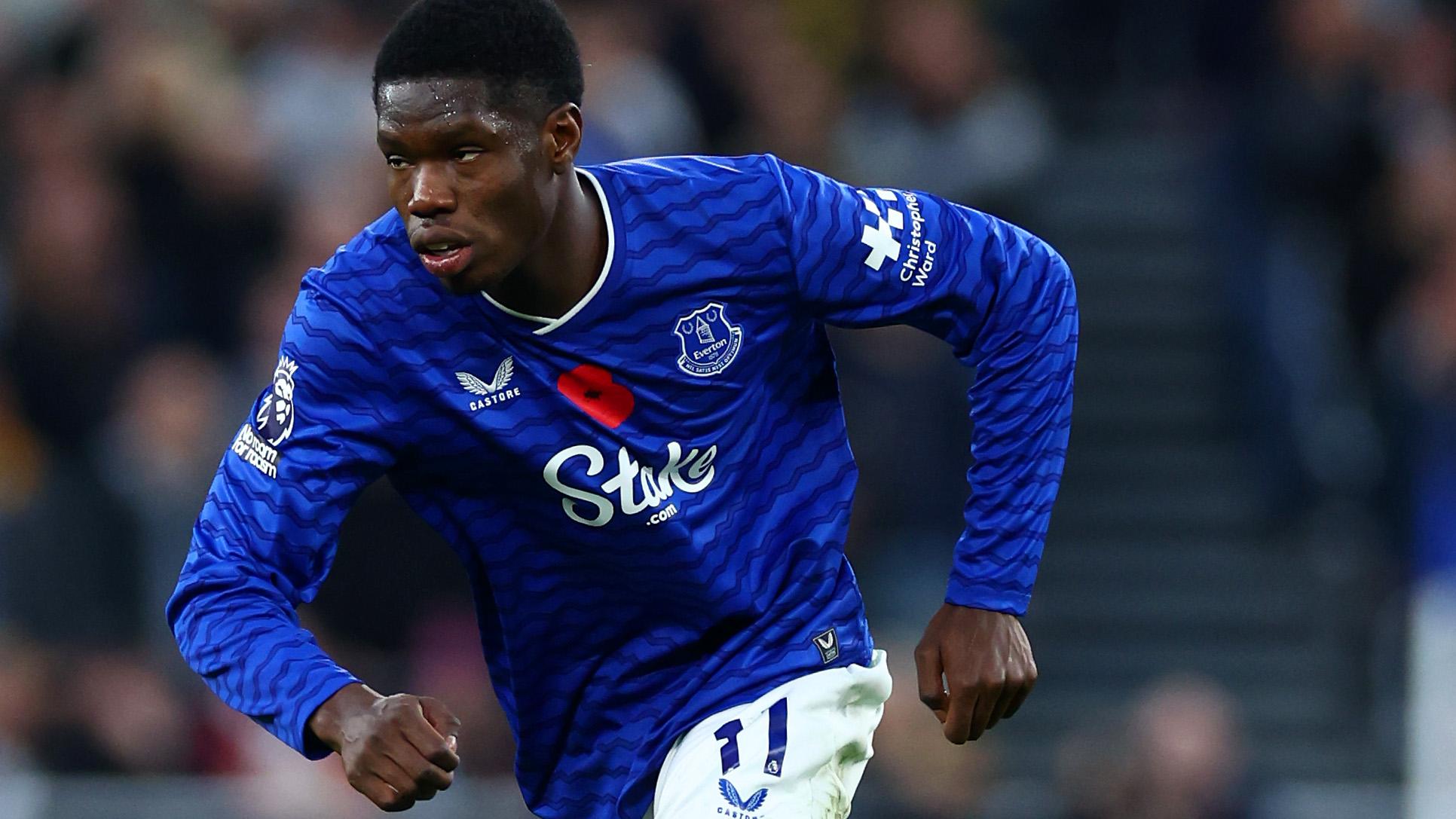 Everton v Fulham - Premier League