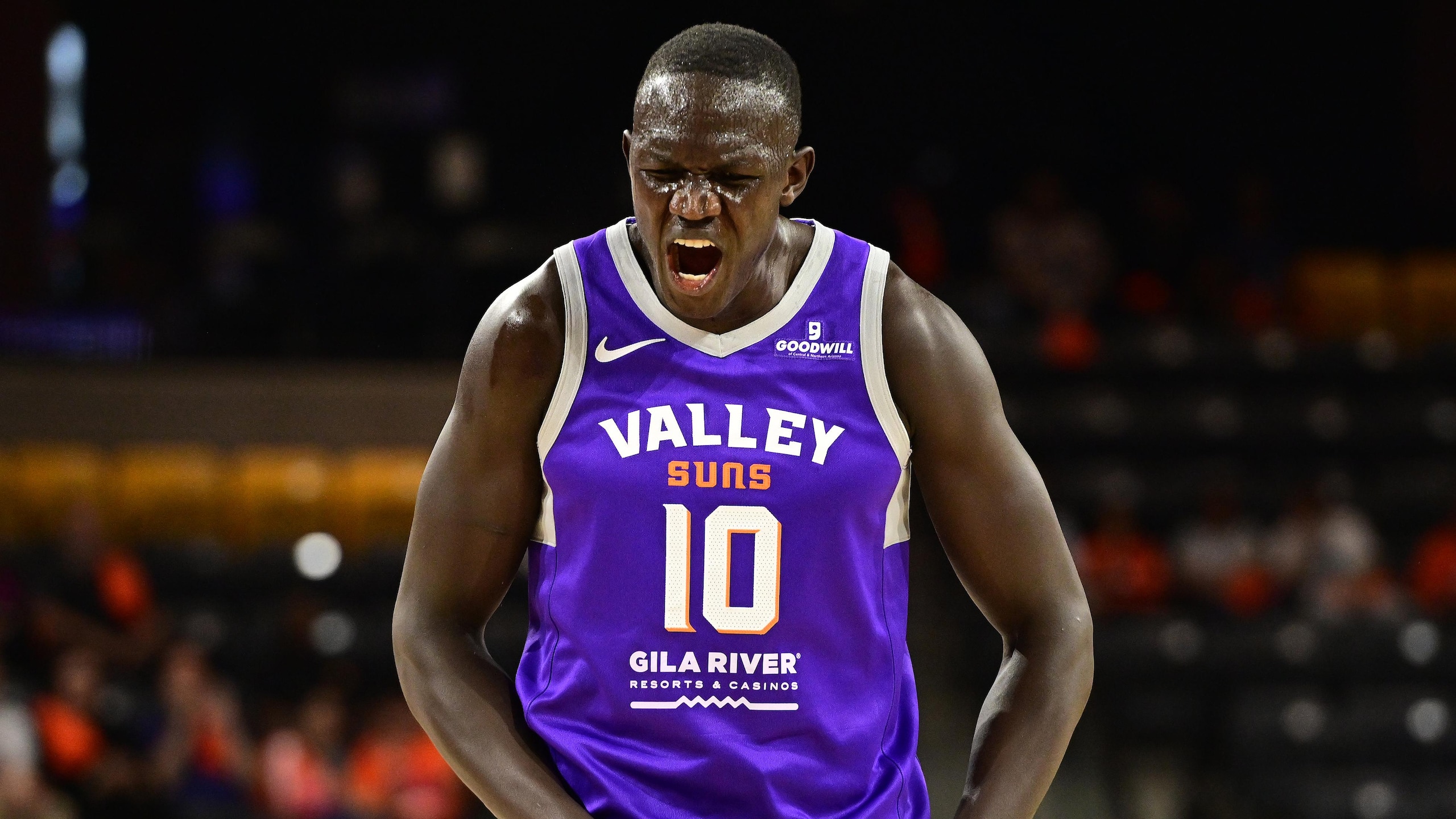 Rip City Remix v Valley Suns