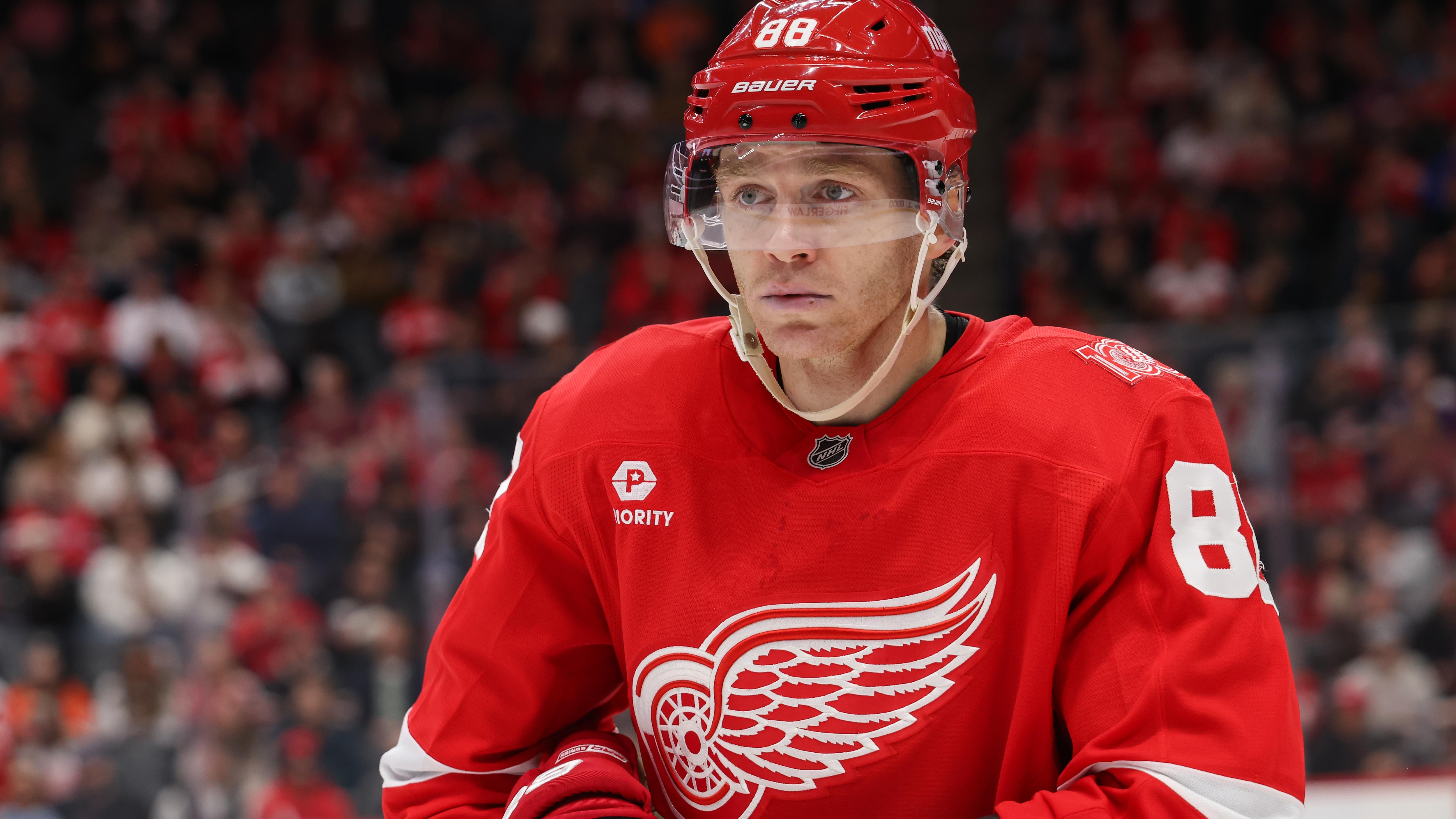 NHL: NOV 13 Ducks at Red Wings