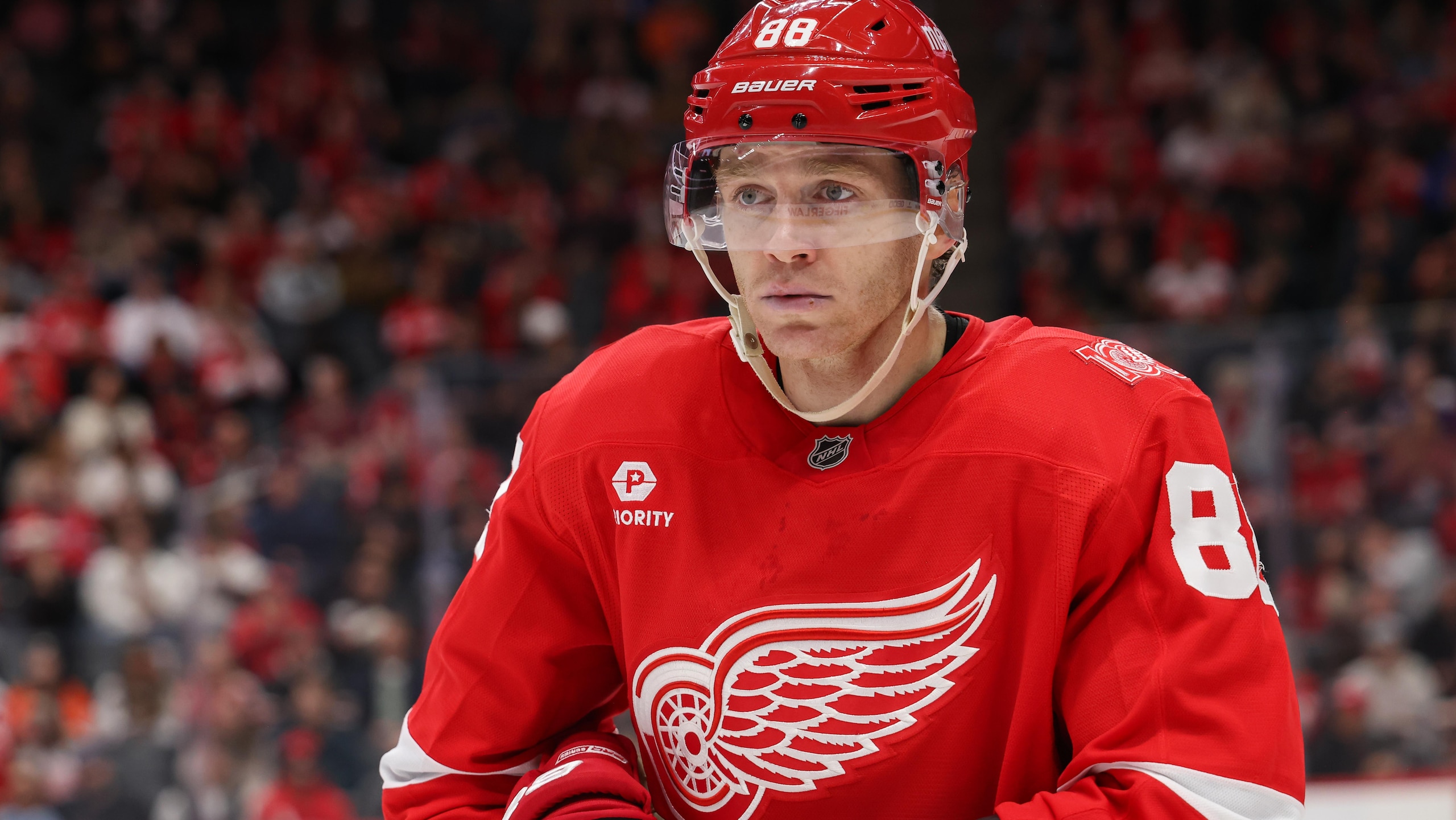 NHL: NOV 13 Ducks at Red Wings