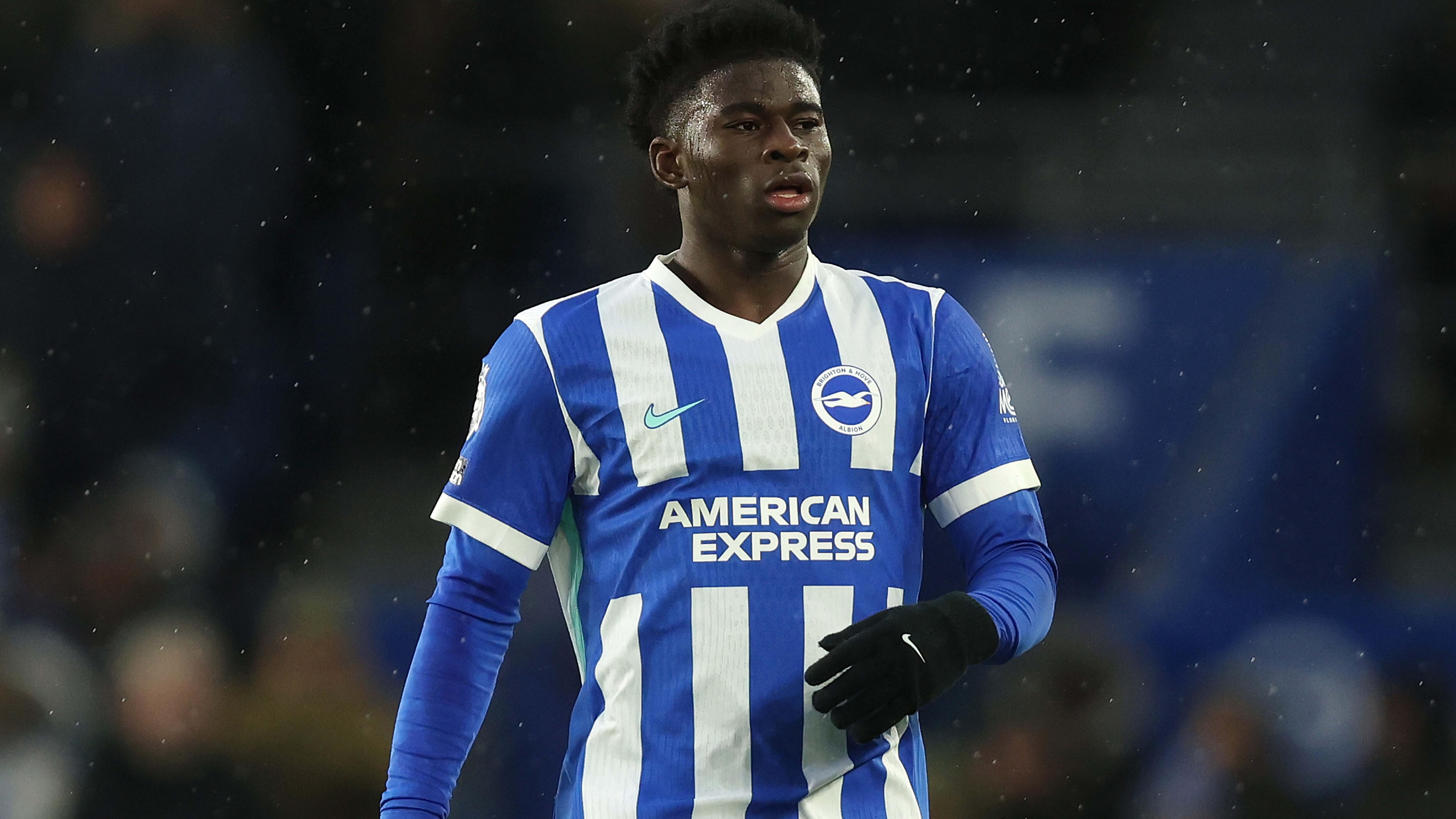 Brighton & Hove Albion v Brentford - Premier League