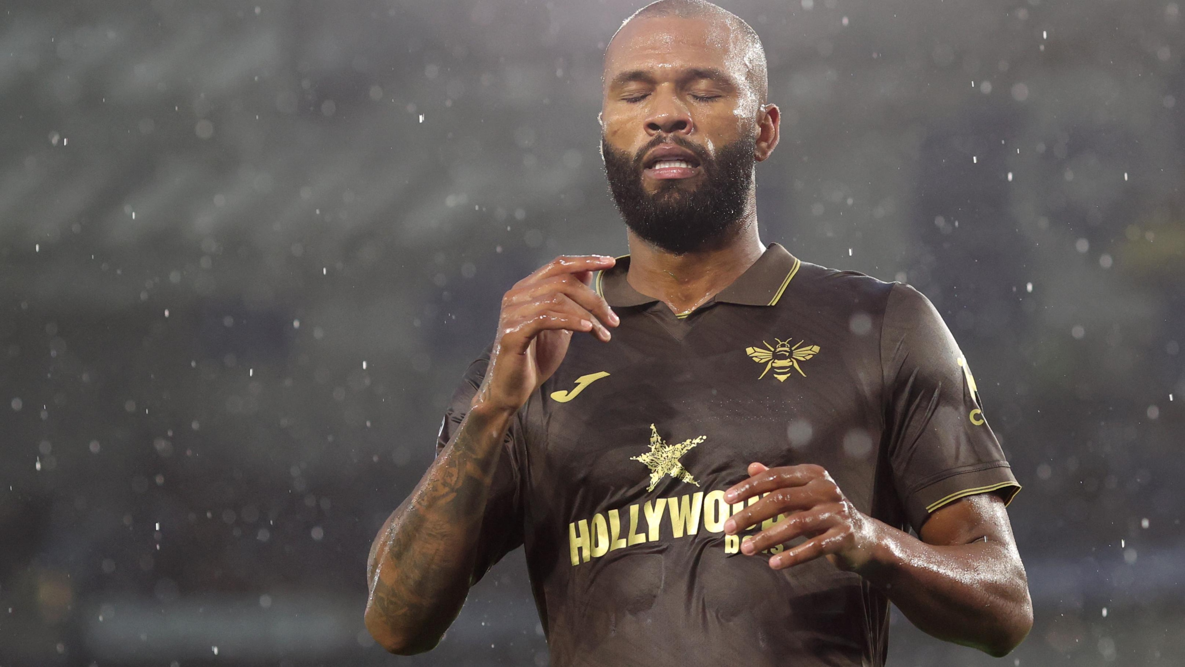 Brighton & Hove Albion v Brentford - Premier League Brighton & Hove Albion v Brentford - Premier League