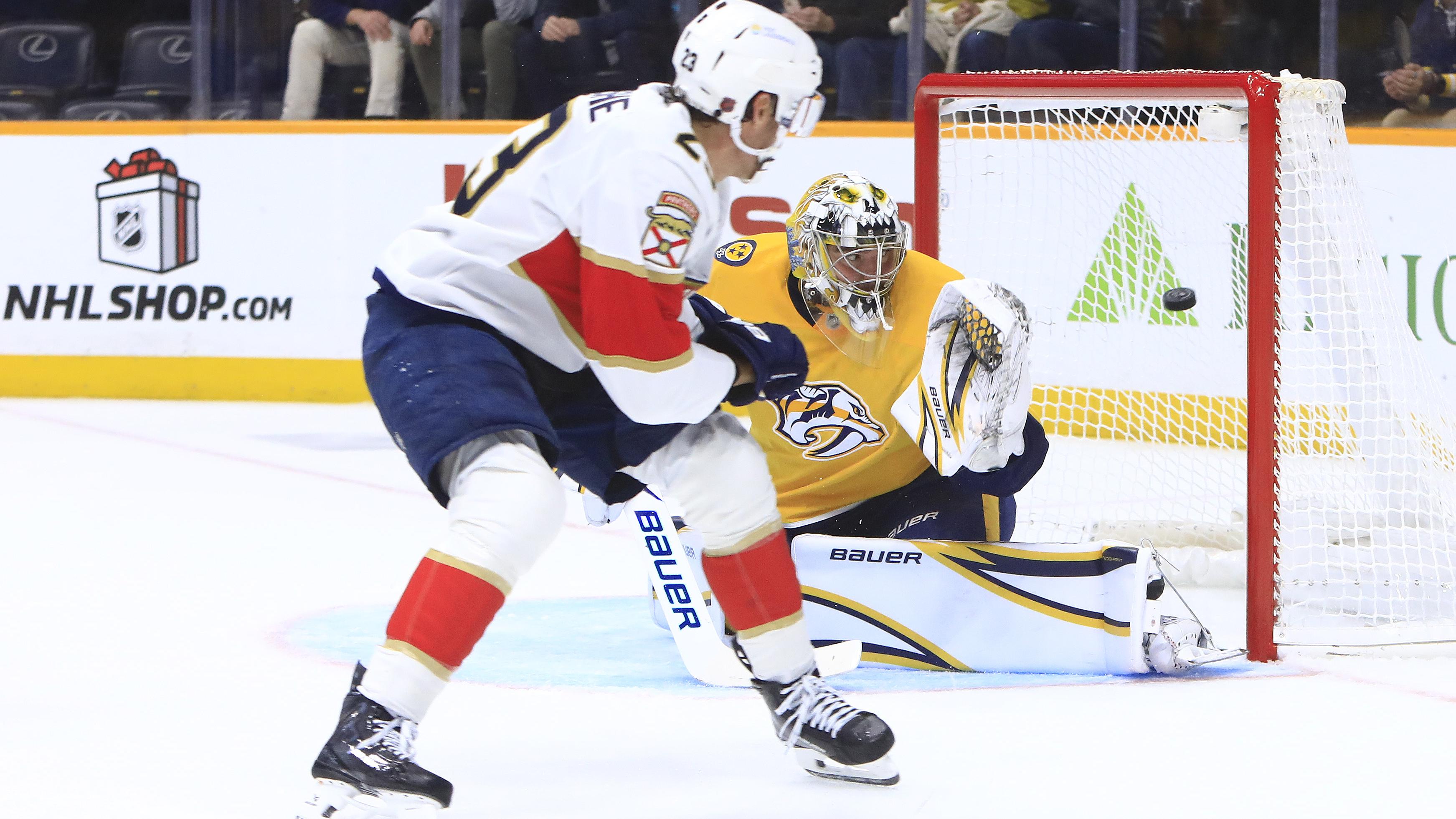 NHL: NOV 24 Panthers at Predators