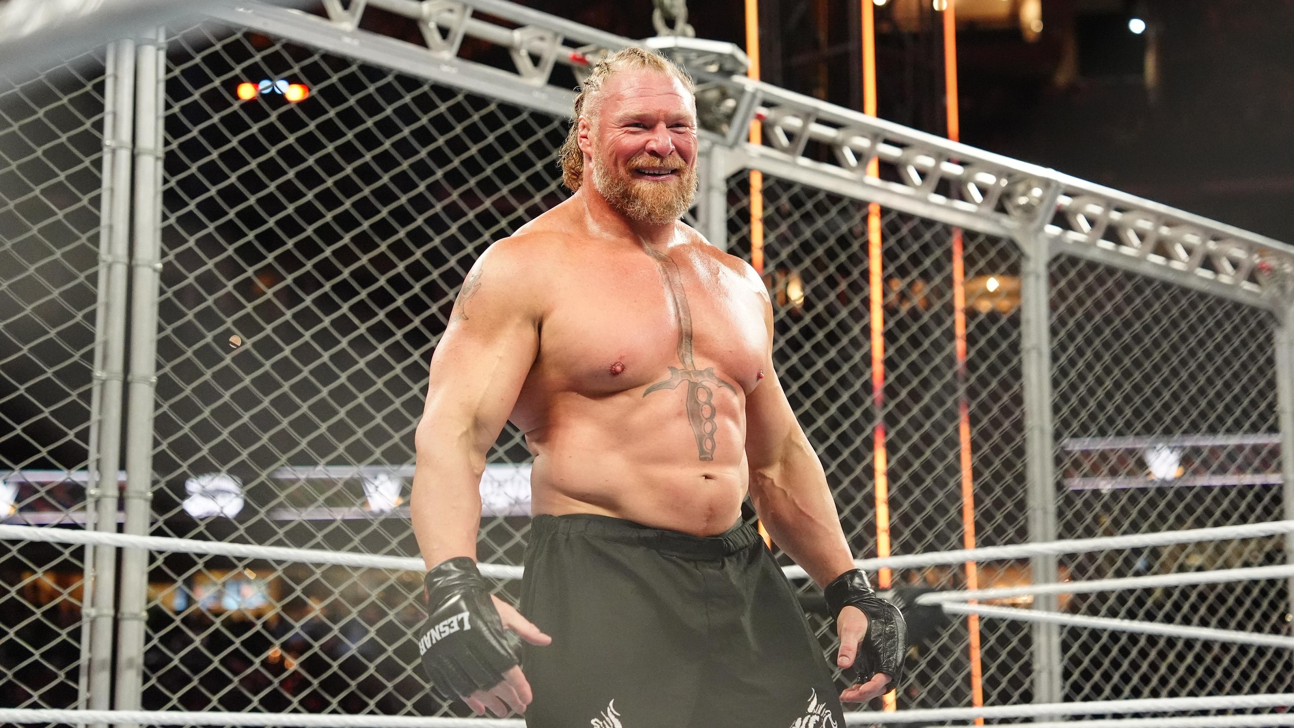WWE - Survivor Series