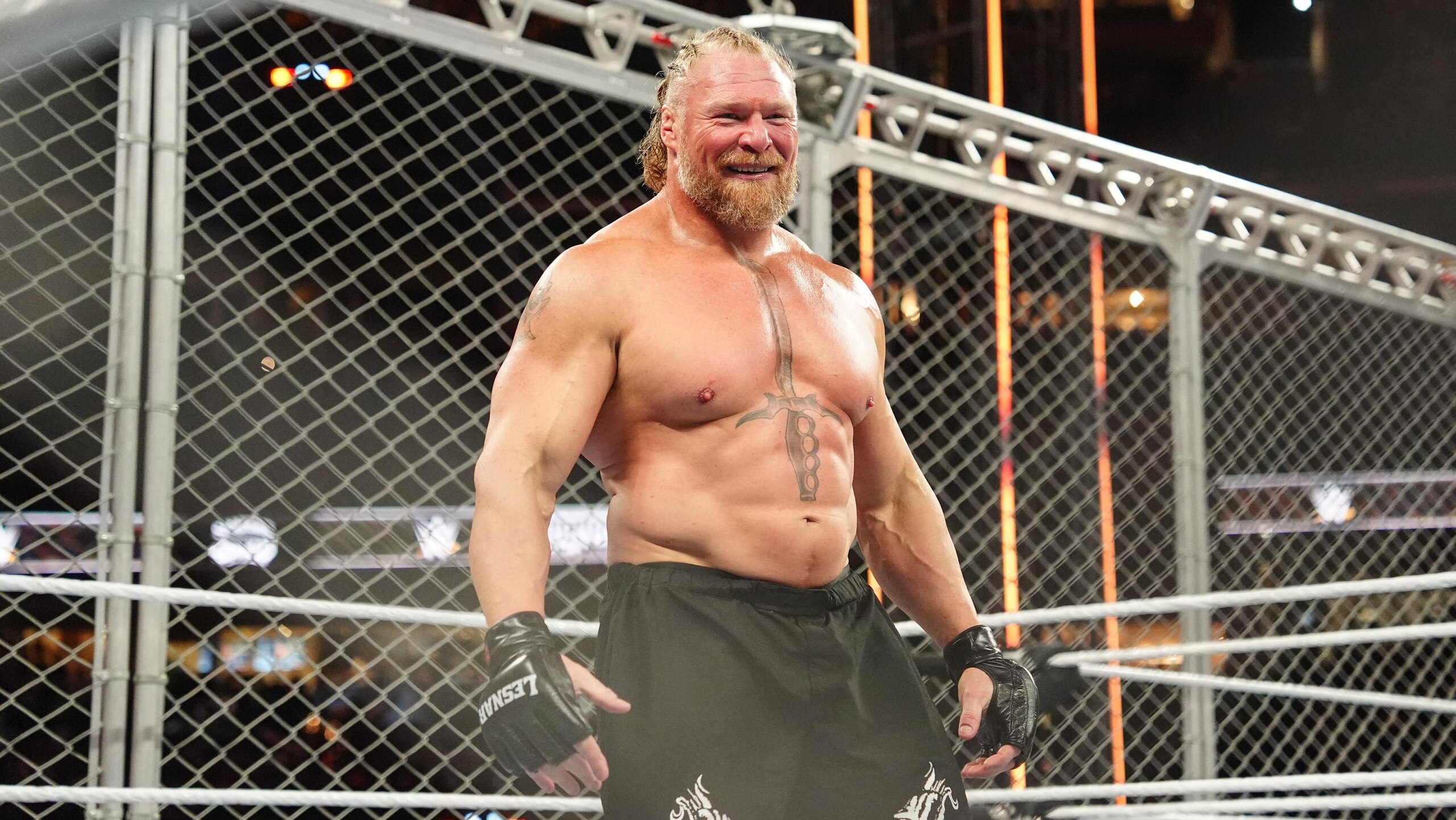 WWE - Survivor Series WWE - Survivor Series