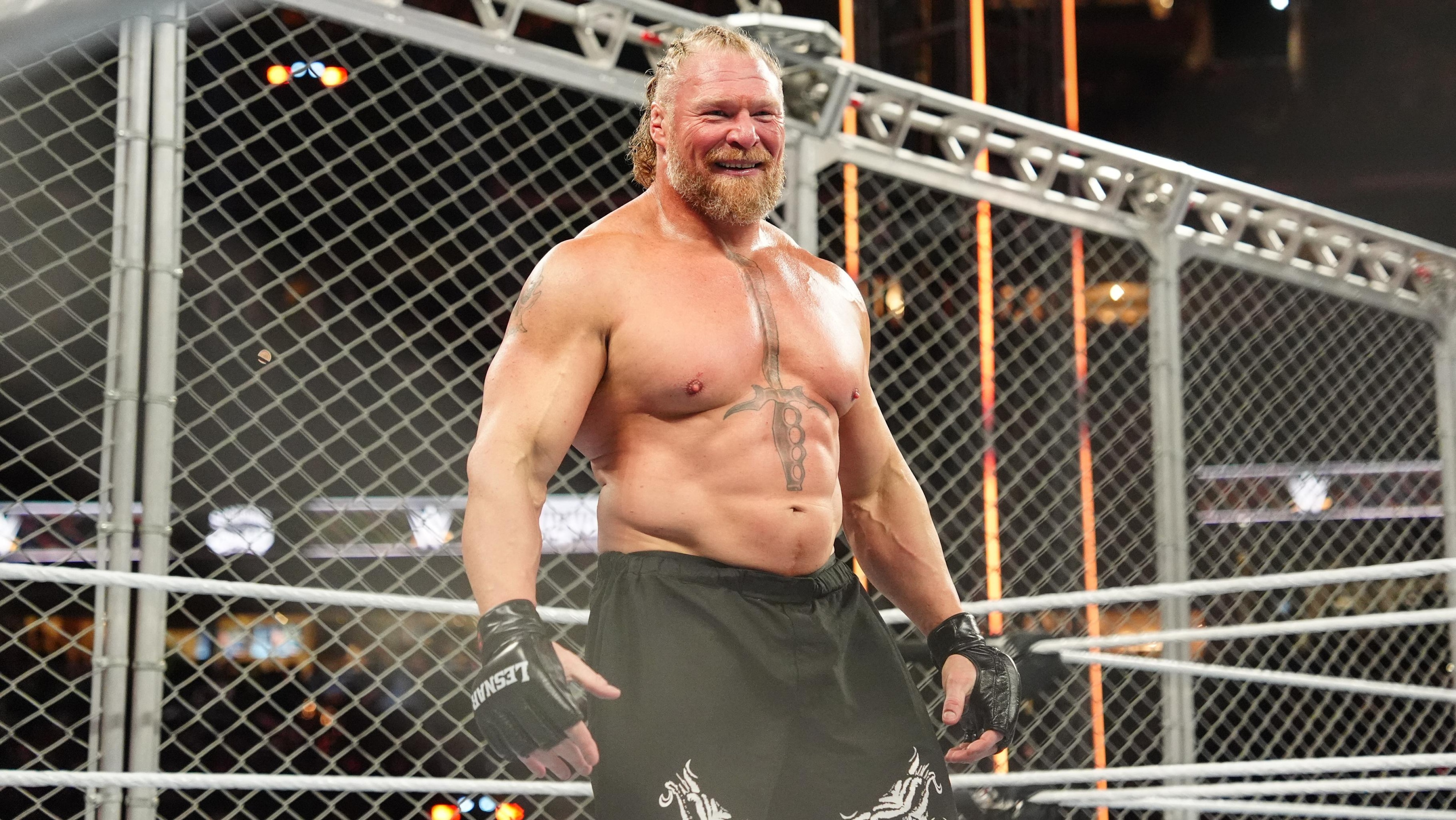 WWE - Survivor Series WWE - Survivor Series