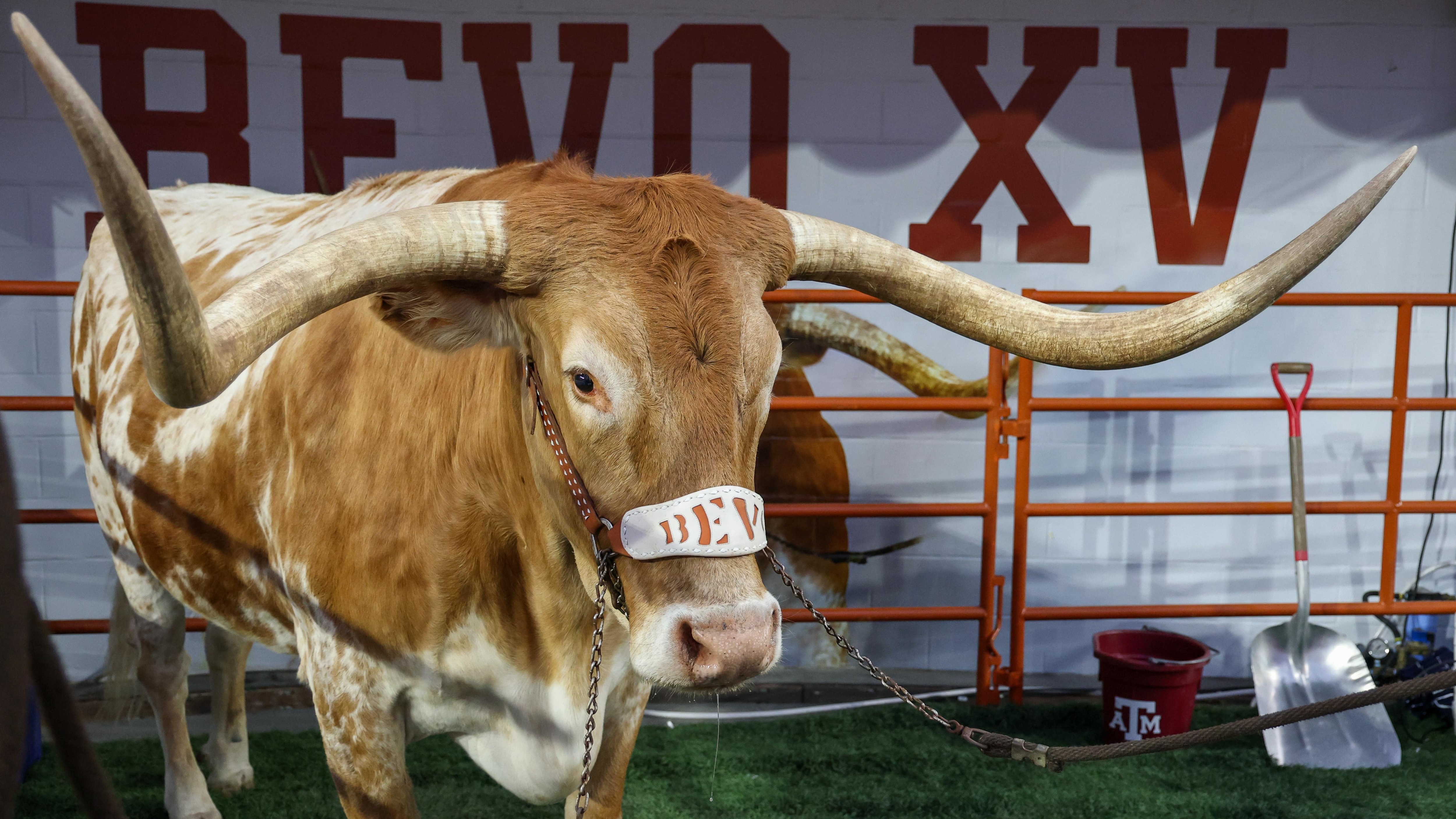 COLLEGE FOOTBALL: NOV 28 Texas A&M at Texas