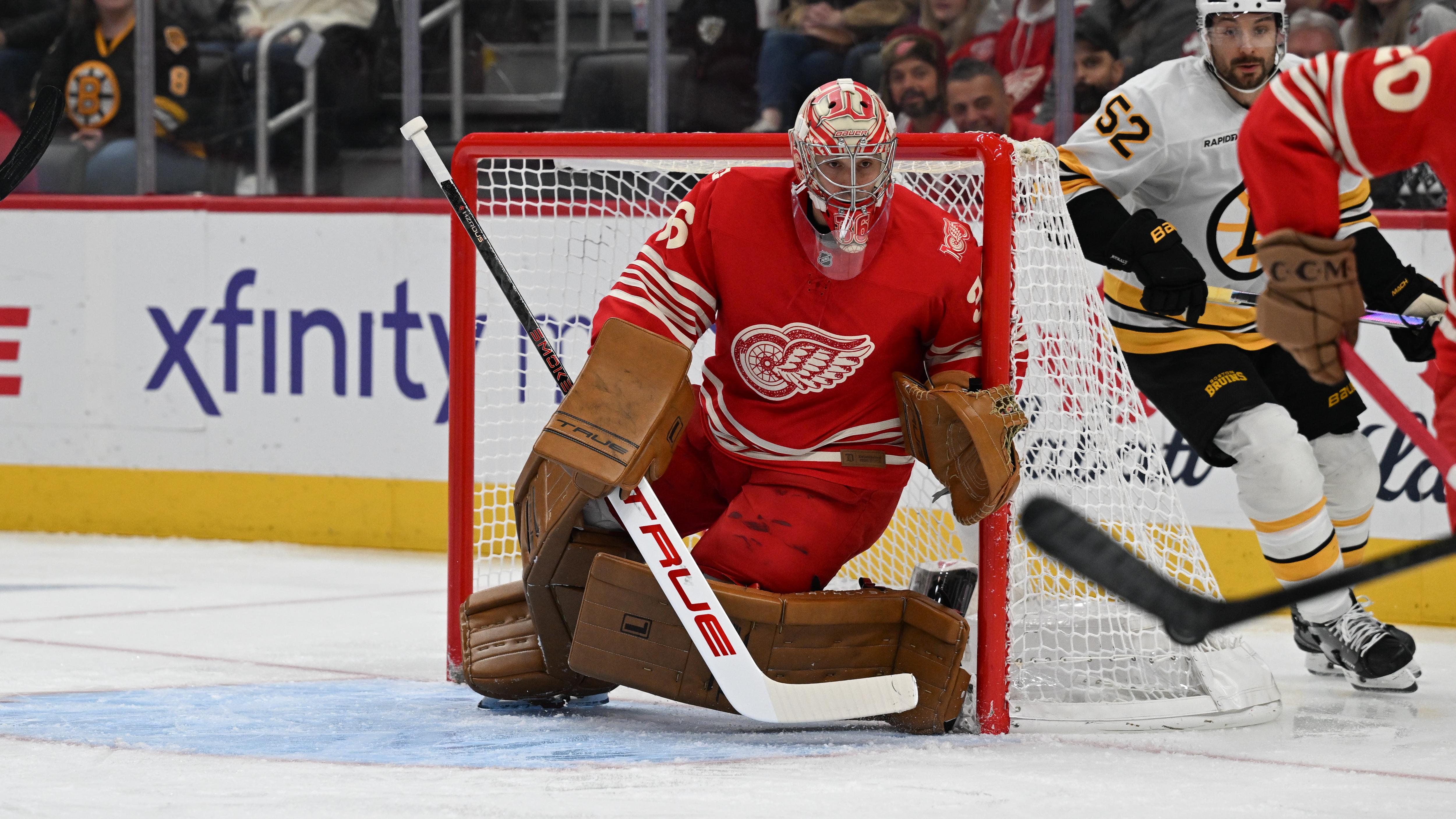 NHL: DEC 02 Bruins at Red Wings