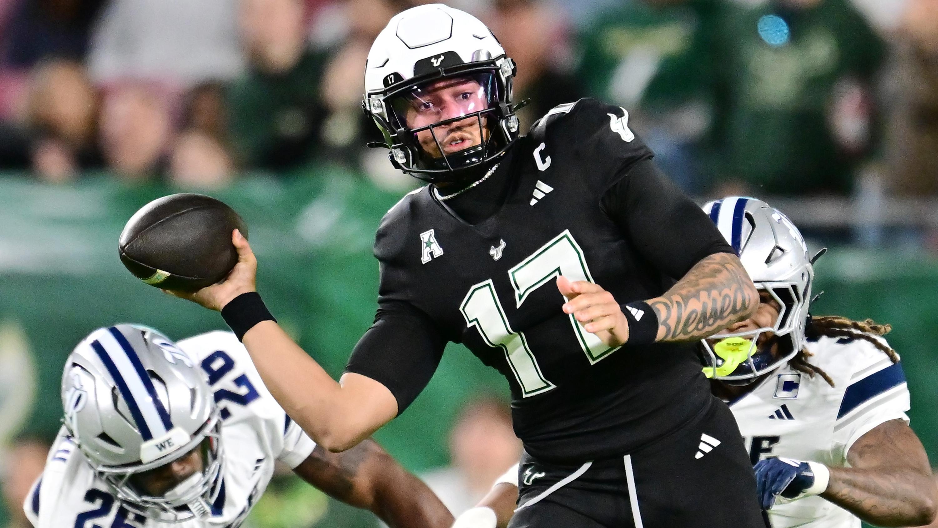 Rice v South Florida