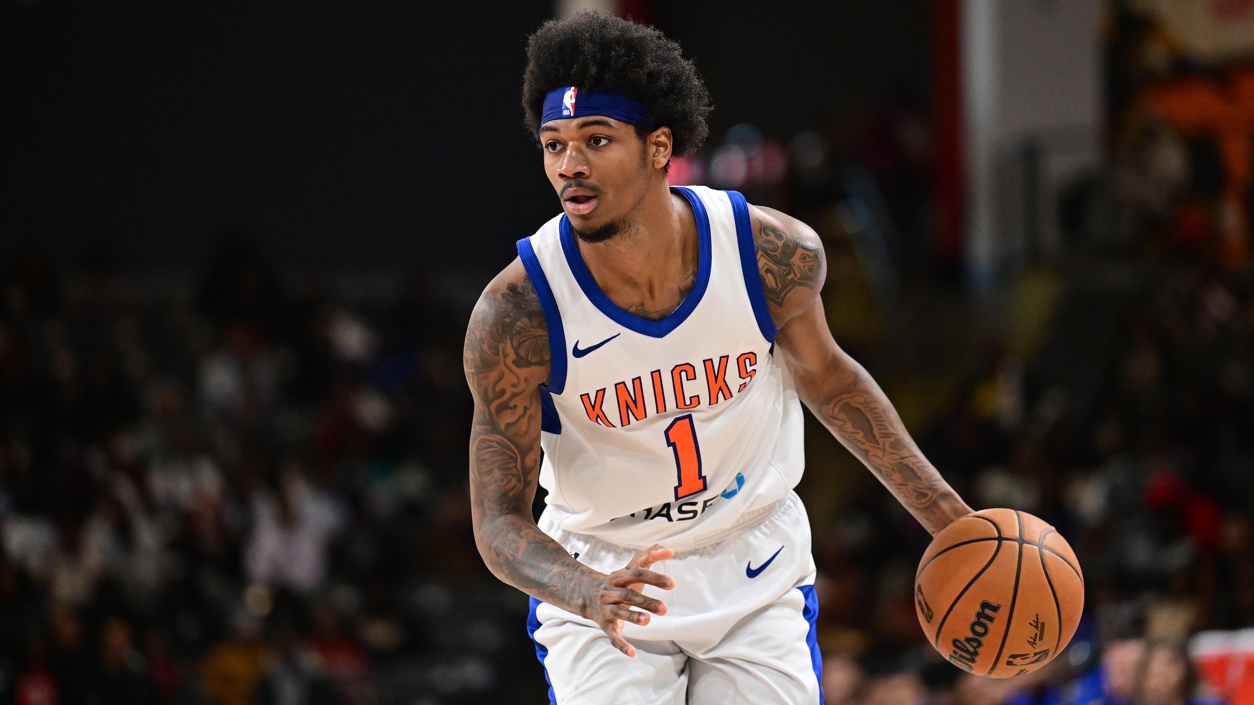 Westchester Knicks v College Park Skyhawks