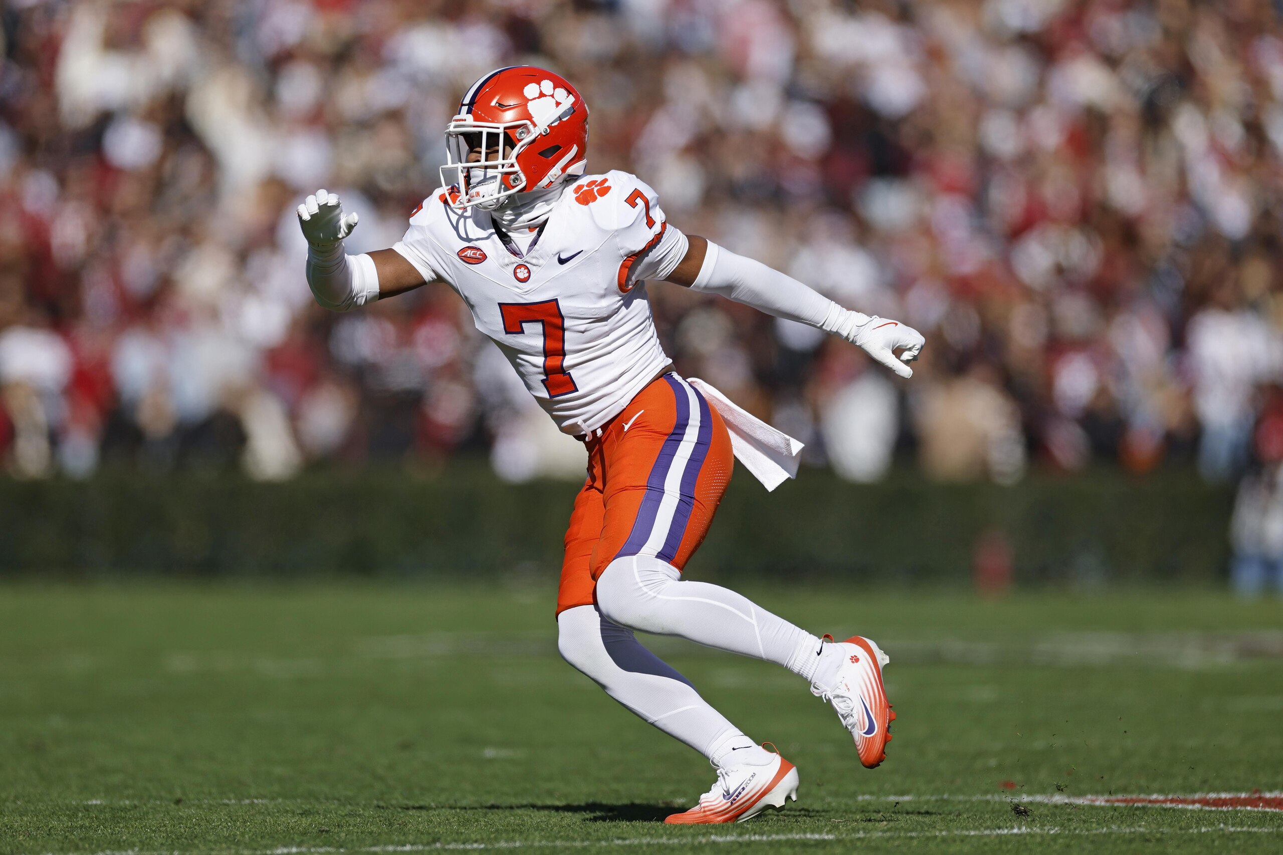 COLLEGE FOOTBALL: NOV 29 Clemson at South Carolina
