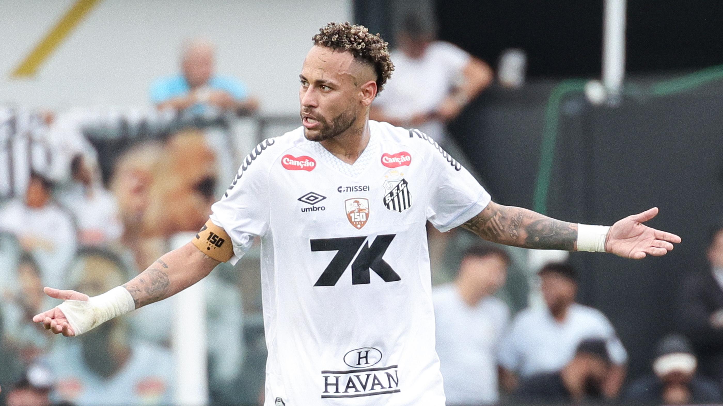 Santos v Cruzeiro - Brasileirao 2025