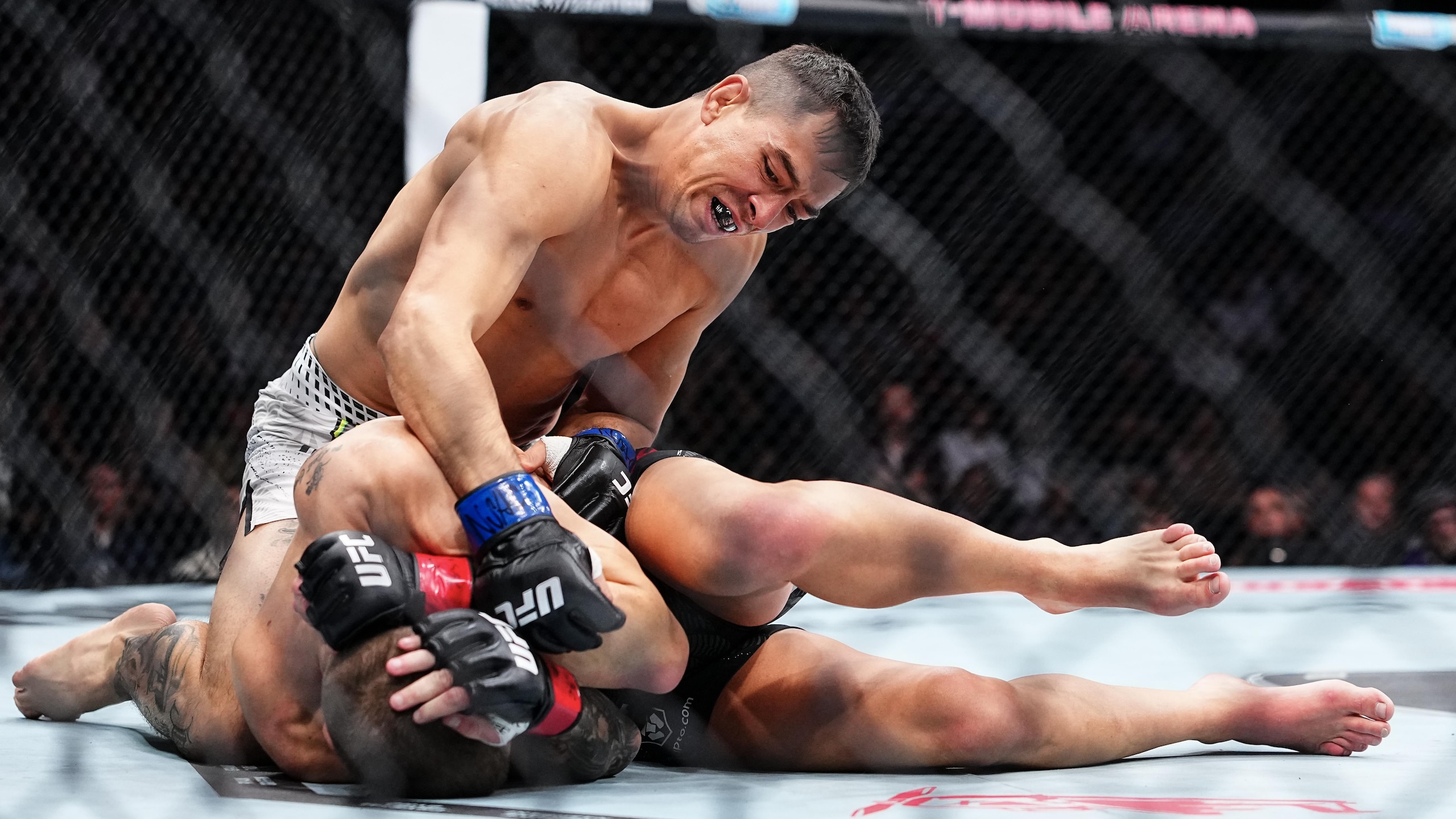 UFC 323: Dawson v Torres UFC 323: Dawson v Torres
