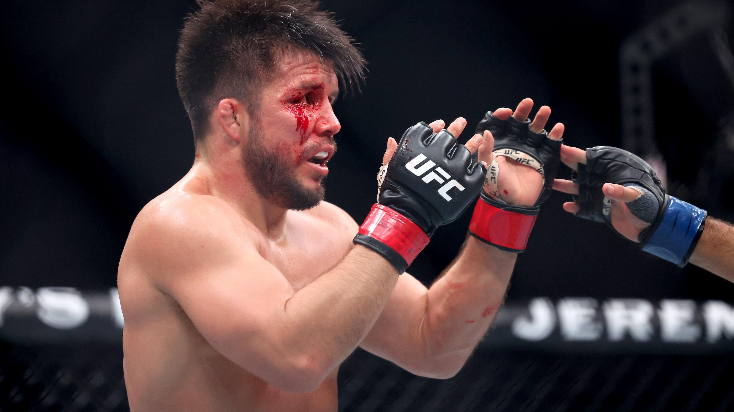 UFC 323: Dvalishvili v Yan 2 UFC 323: Dvalishvili v Yan 2