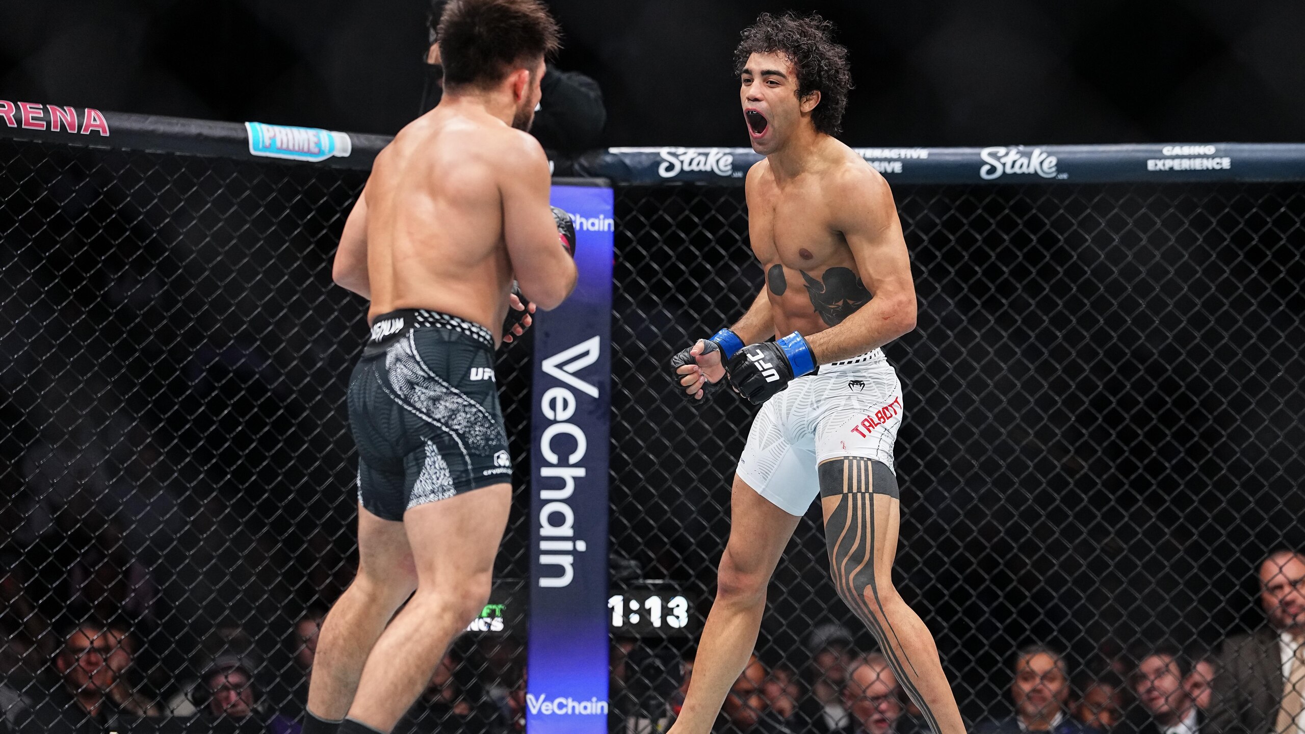 UFC 323: Cejudo v Talbott