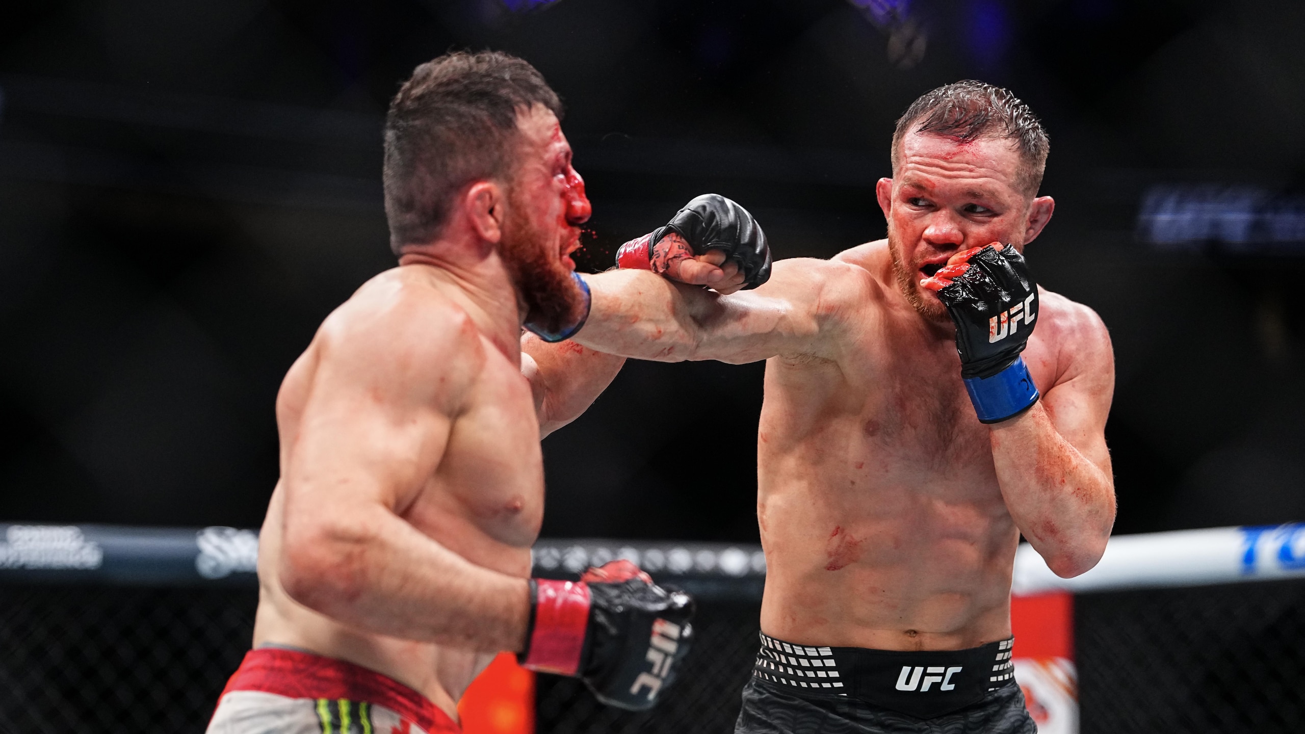UFC 323: Dvalishvili v Yan 2 UFC 323: Dvalishvili v Yan 2