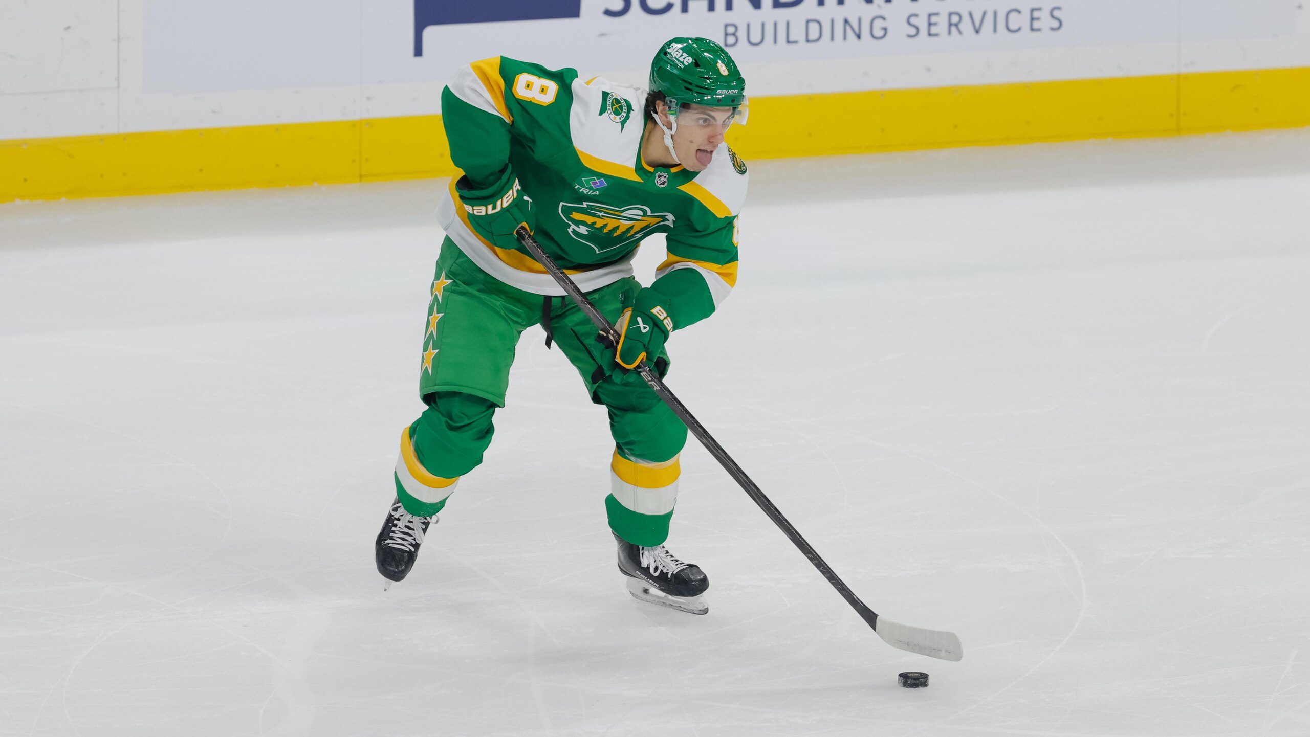 NHL: DEC 11 Stars at Wild