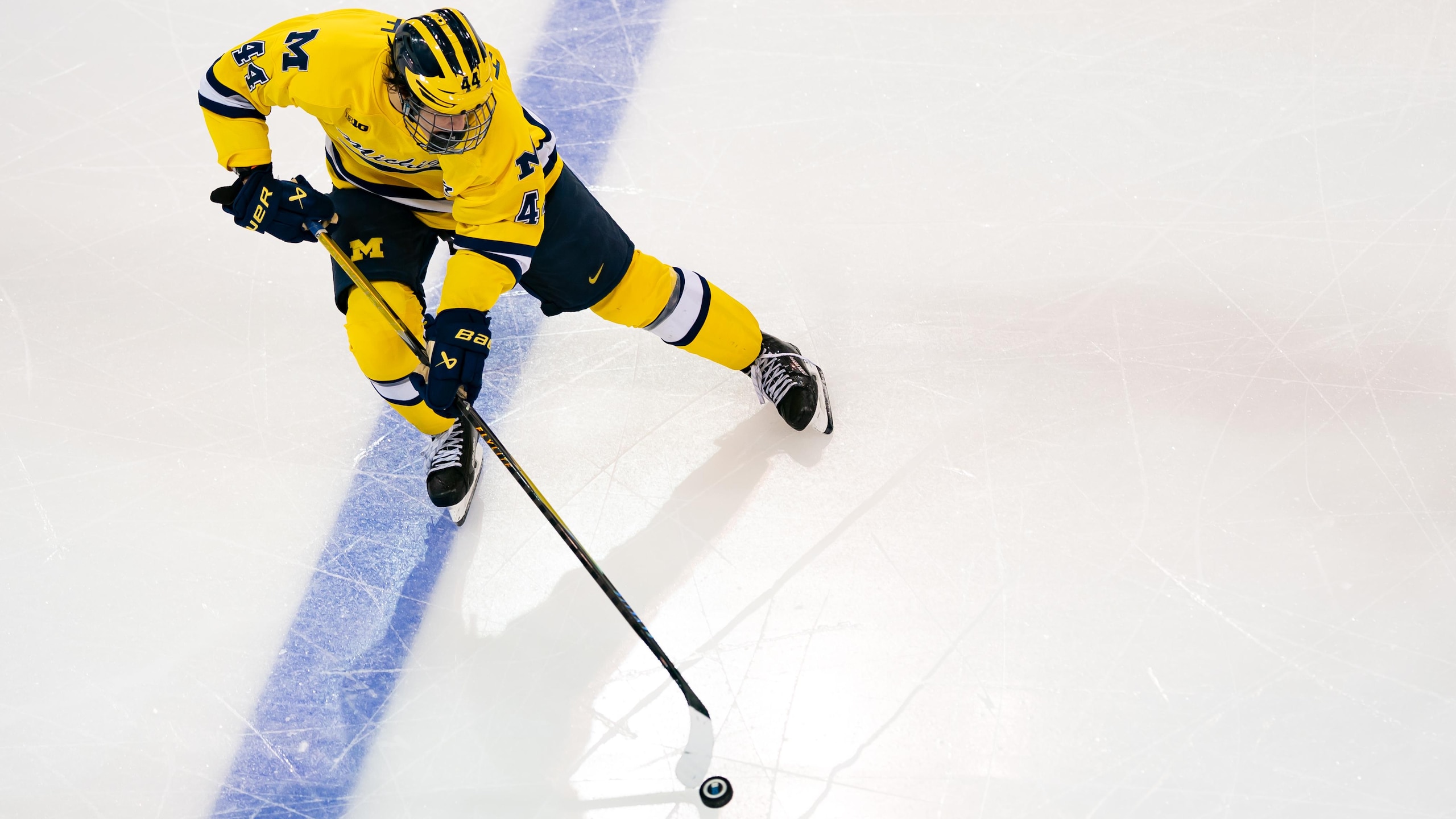 Michigan State v Michigan