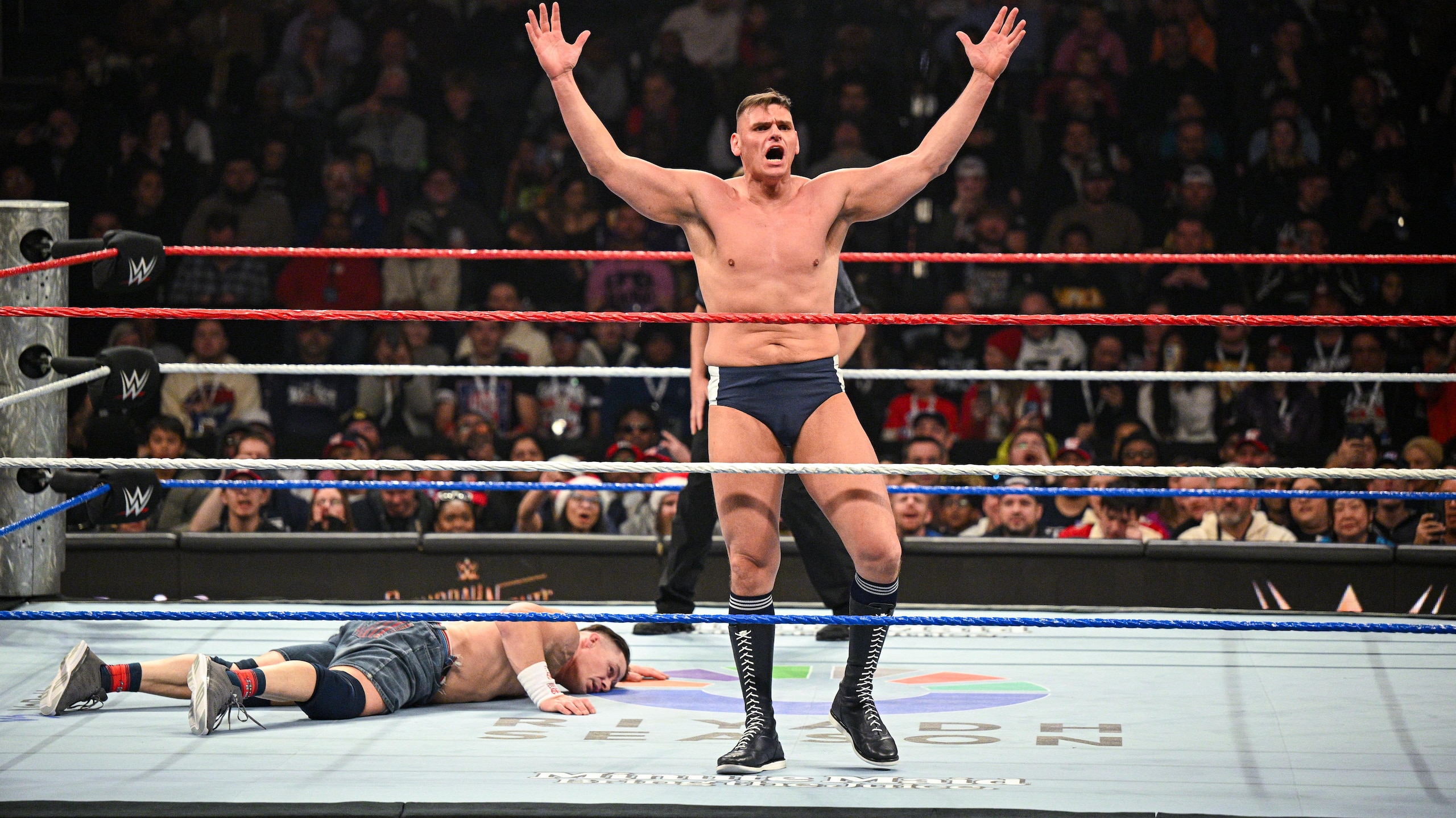 WWE - Saturday Night's Main Event