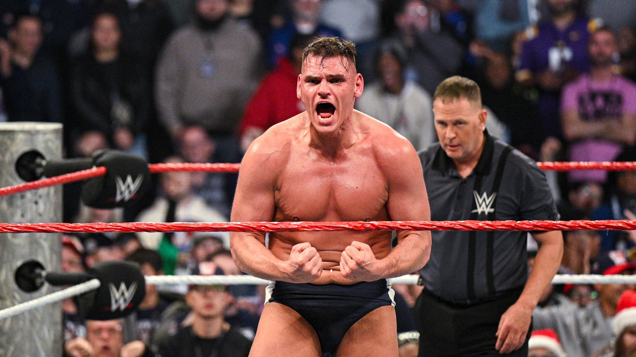 WWE - Saturday Night's Main Event WWE - Saturday Night's Main Event
