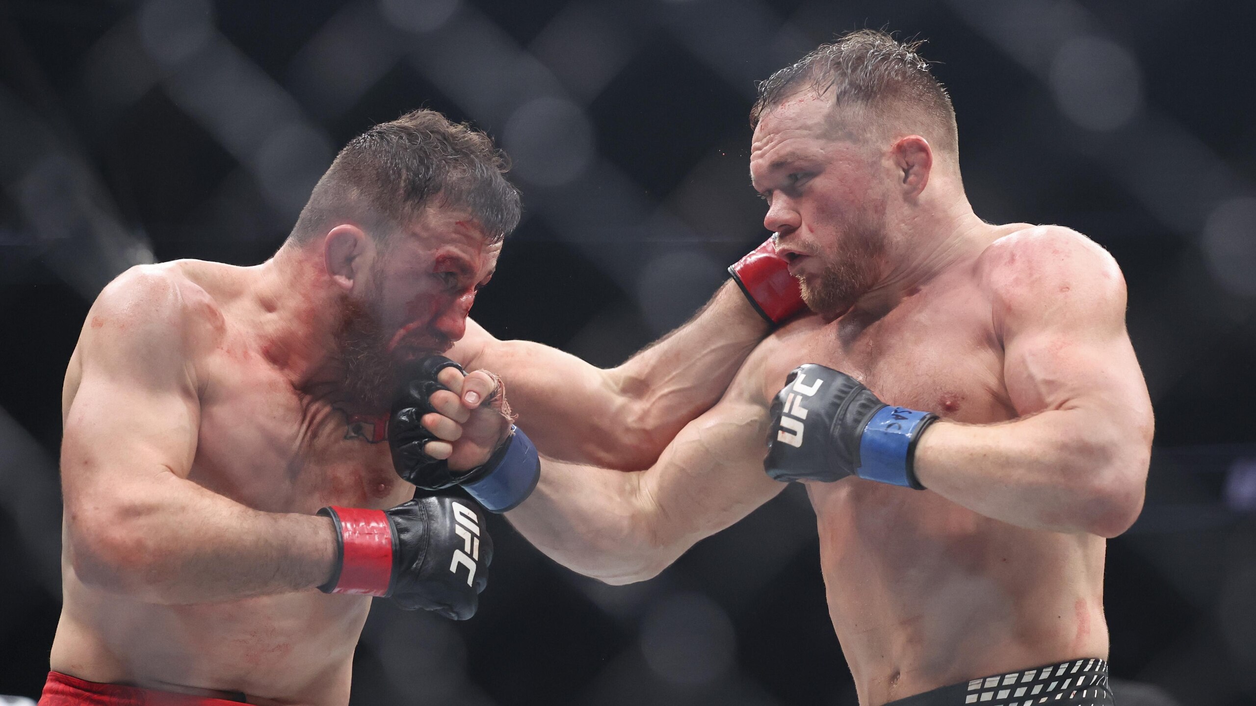 UFC 323: Dvalishvili v Yan 2