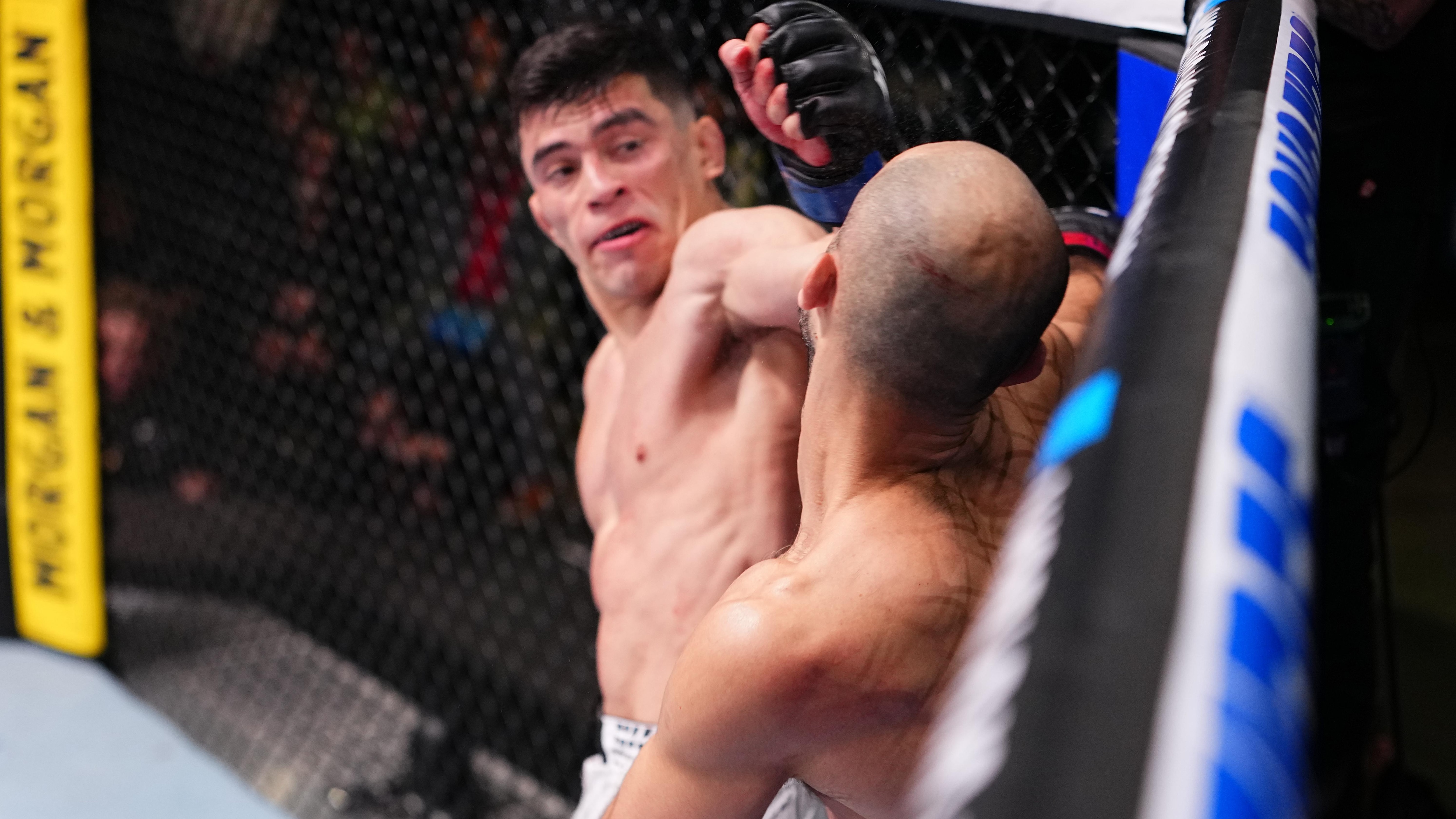 UFC Fight Night: Chikadze v Vallejos