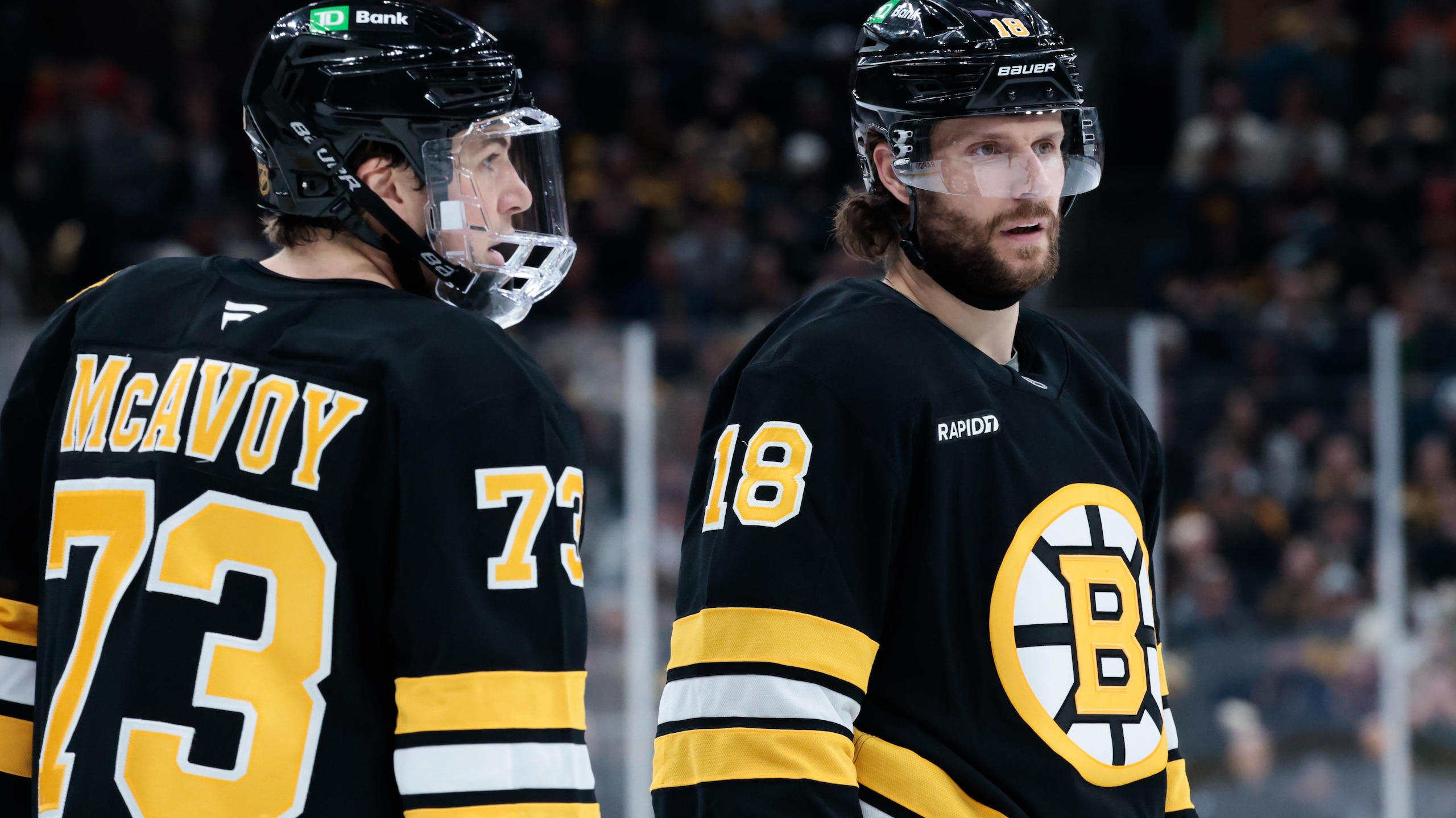 NHL: DEC 16 Mammoth at Bruins