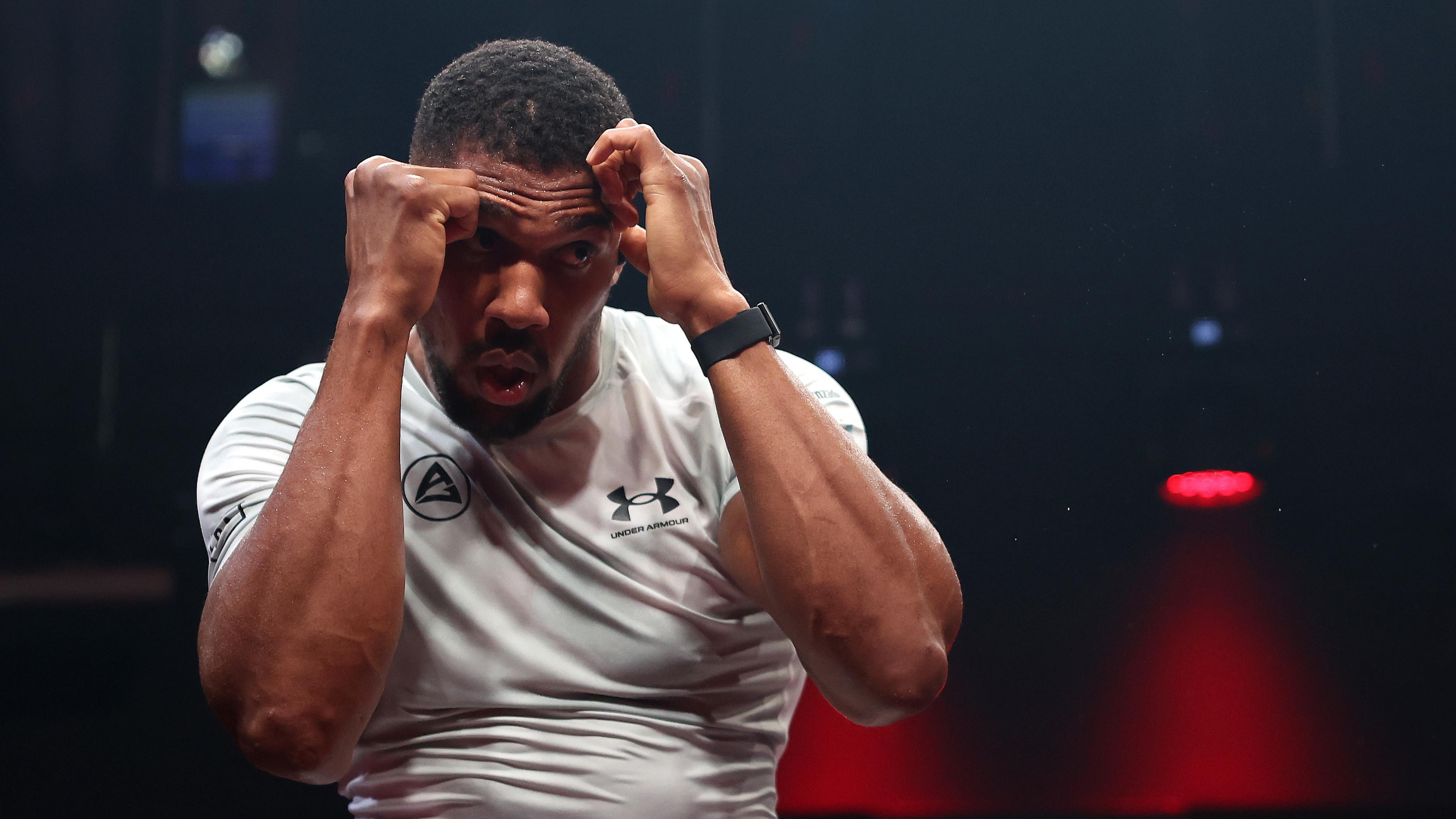 Jake Paul v Anthony Joshua -  Fighter Showcase & Open Workout